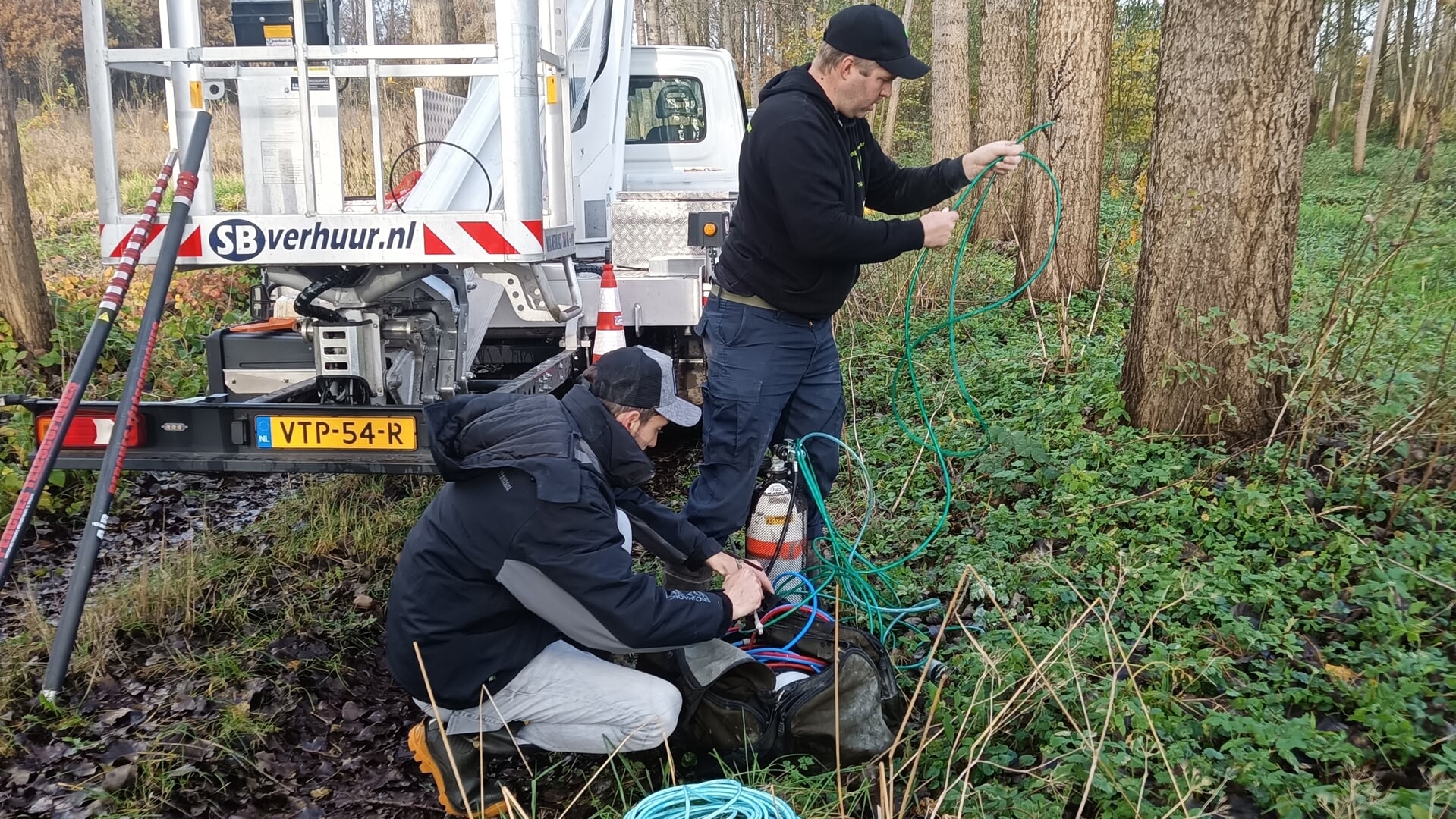 Eerste-nest-van-Aziatische-hoornaar-opgespoord-in-Rooi