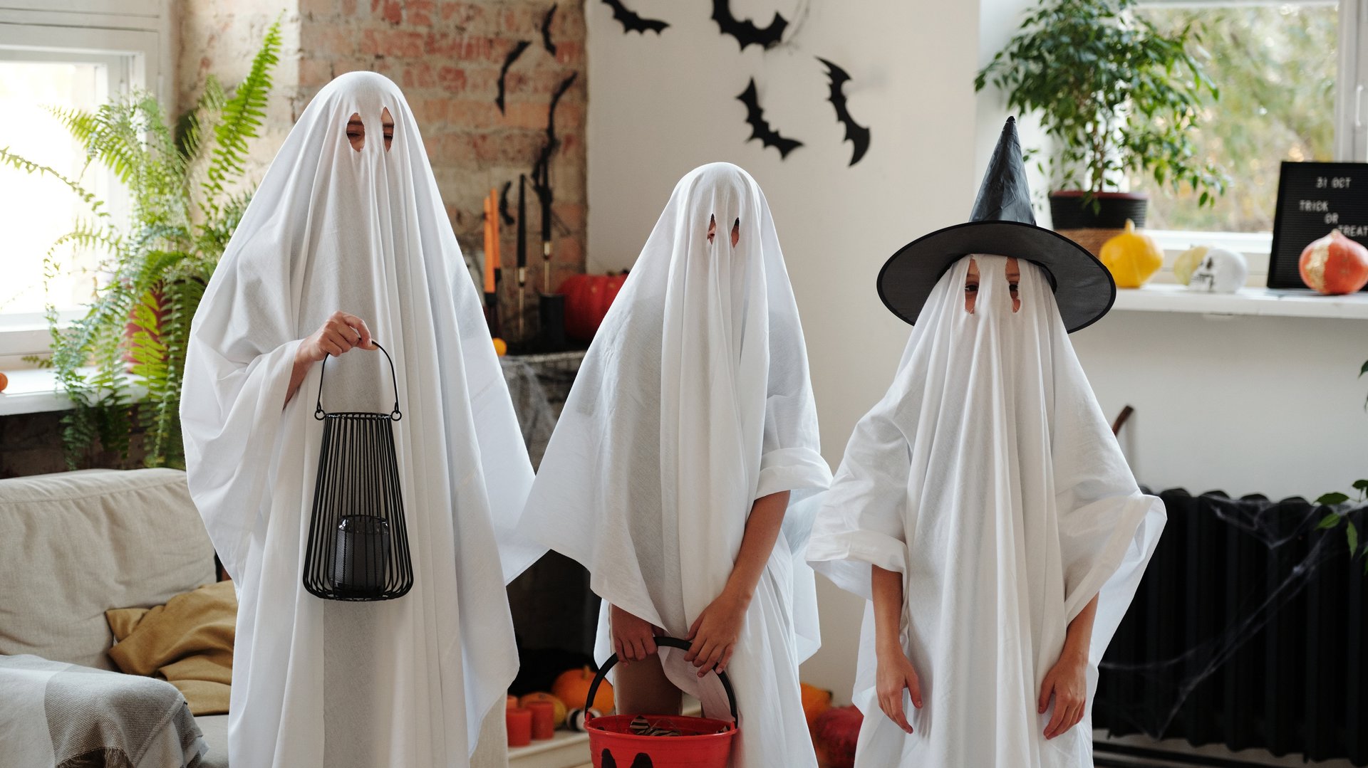 Durf jij het aan? Griezelen op het Kinderparadijs in Purmerend met Halloween