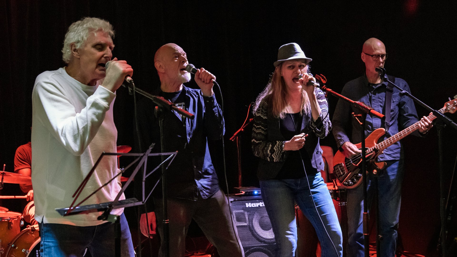 Gratis livemuziek in Alkmaar: Bekijk hier het overzicht