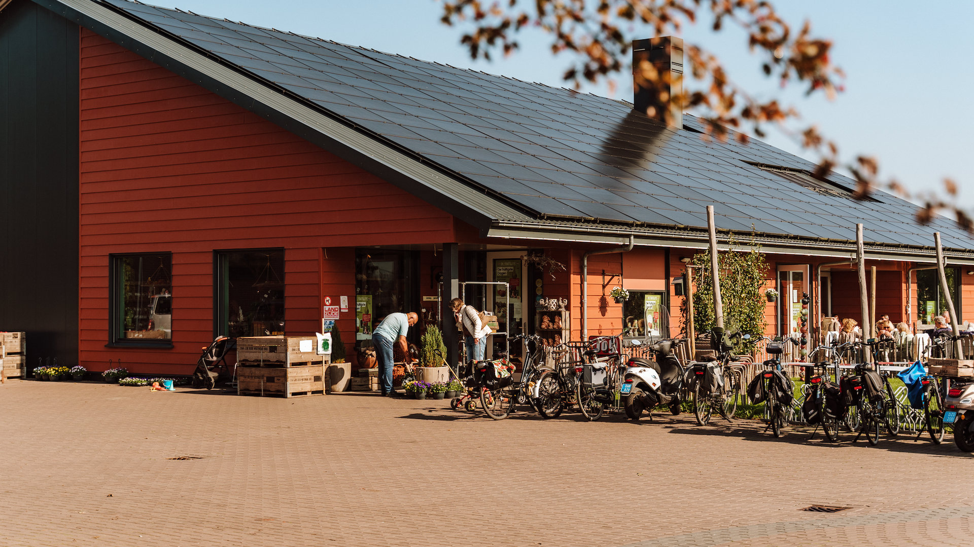 Gezond Westfriesland organiseert excursie naar ‘t Keetje: van fruitkwekerij naar maaltijd