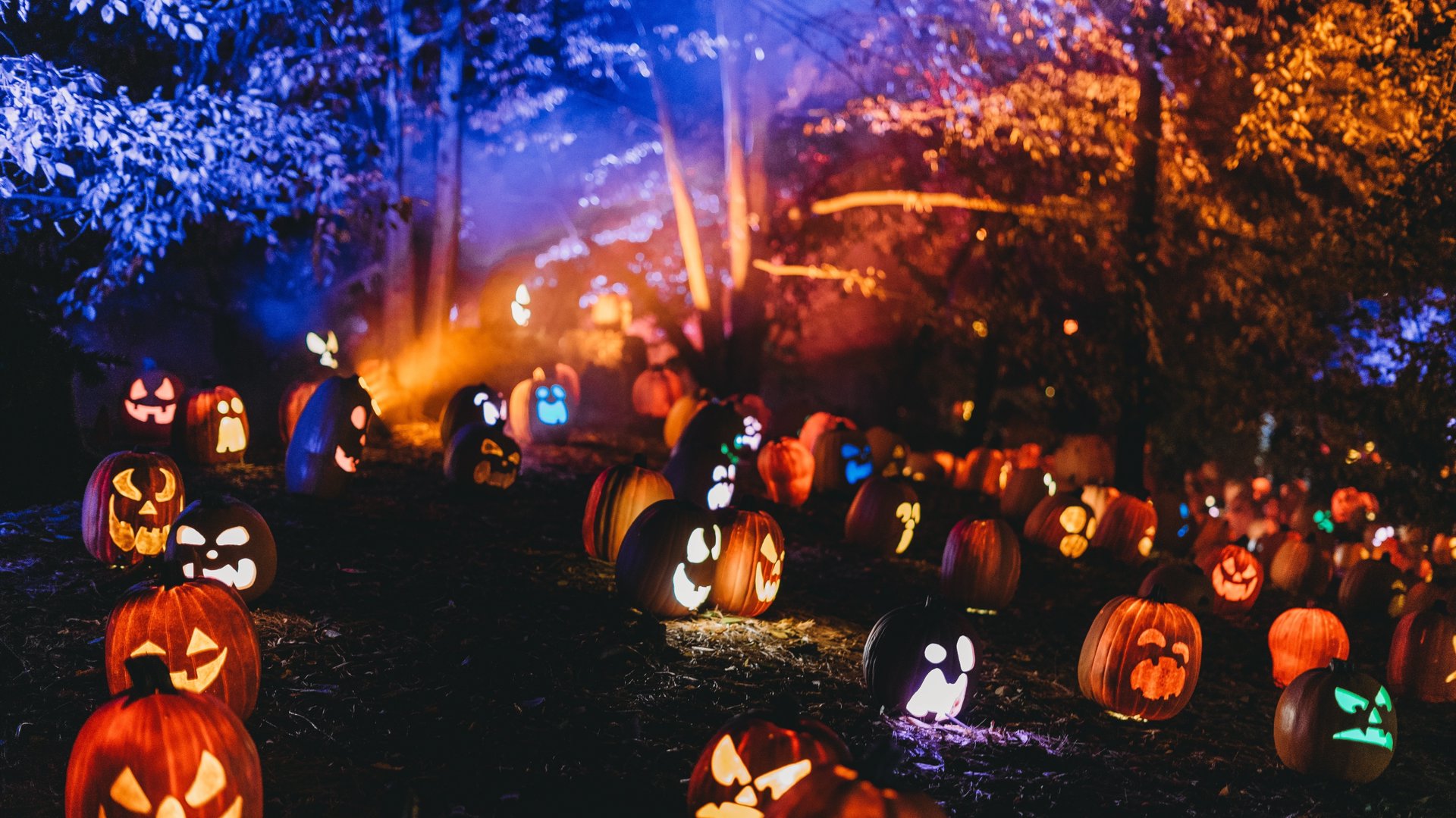 Griezels, pompoenen en marshmallows: Spooky Halloween wordt gevierd in Koogerpark