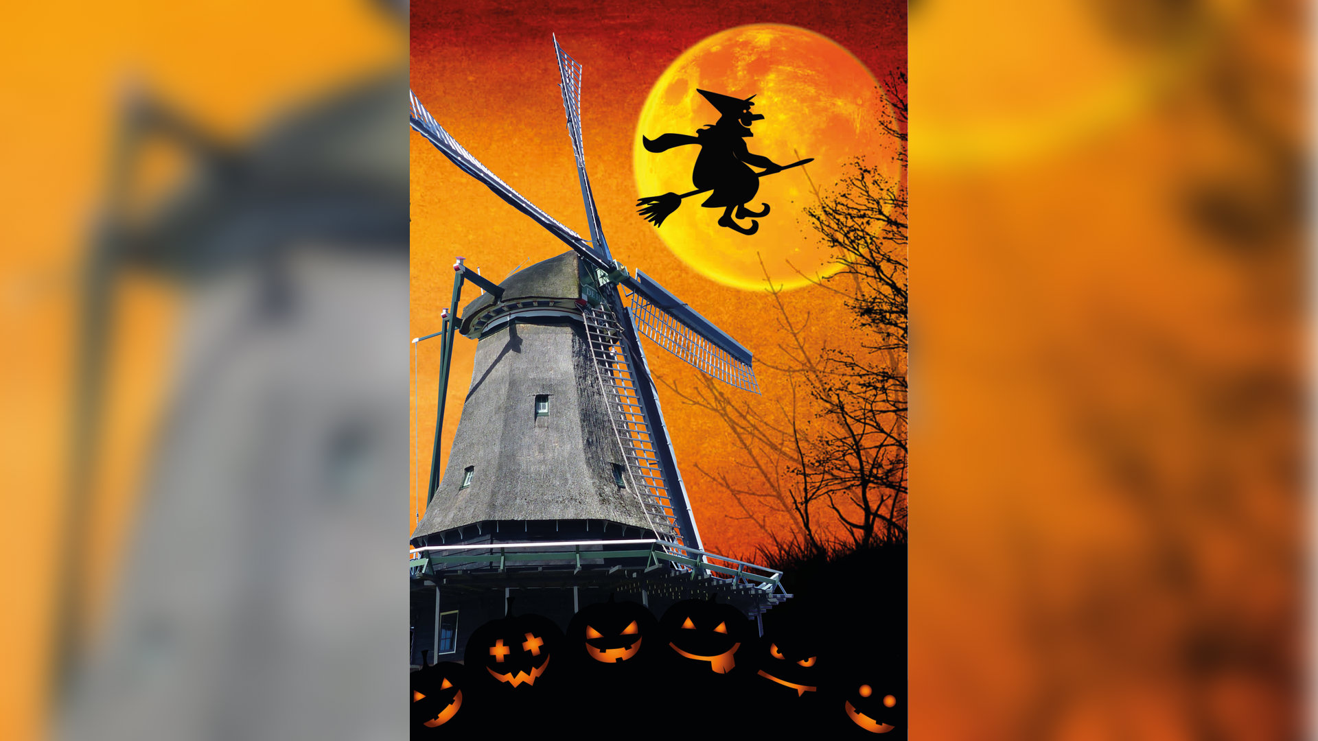 Verkleed griezelen in meelmolen De Herder