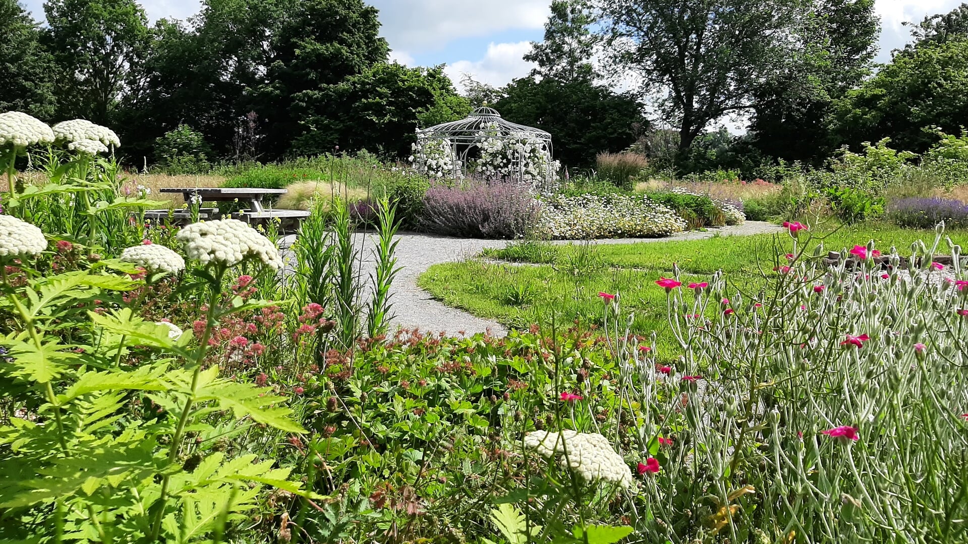 Open tuin in Den Andel