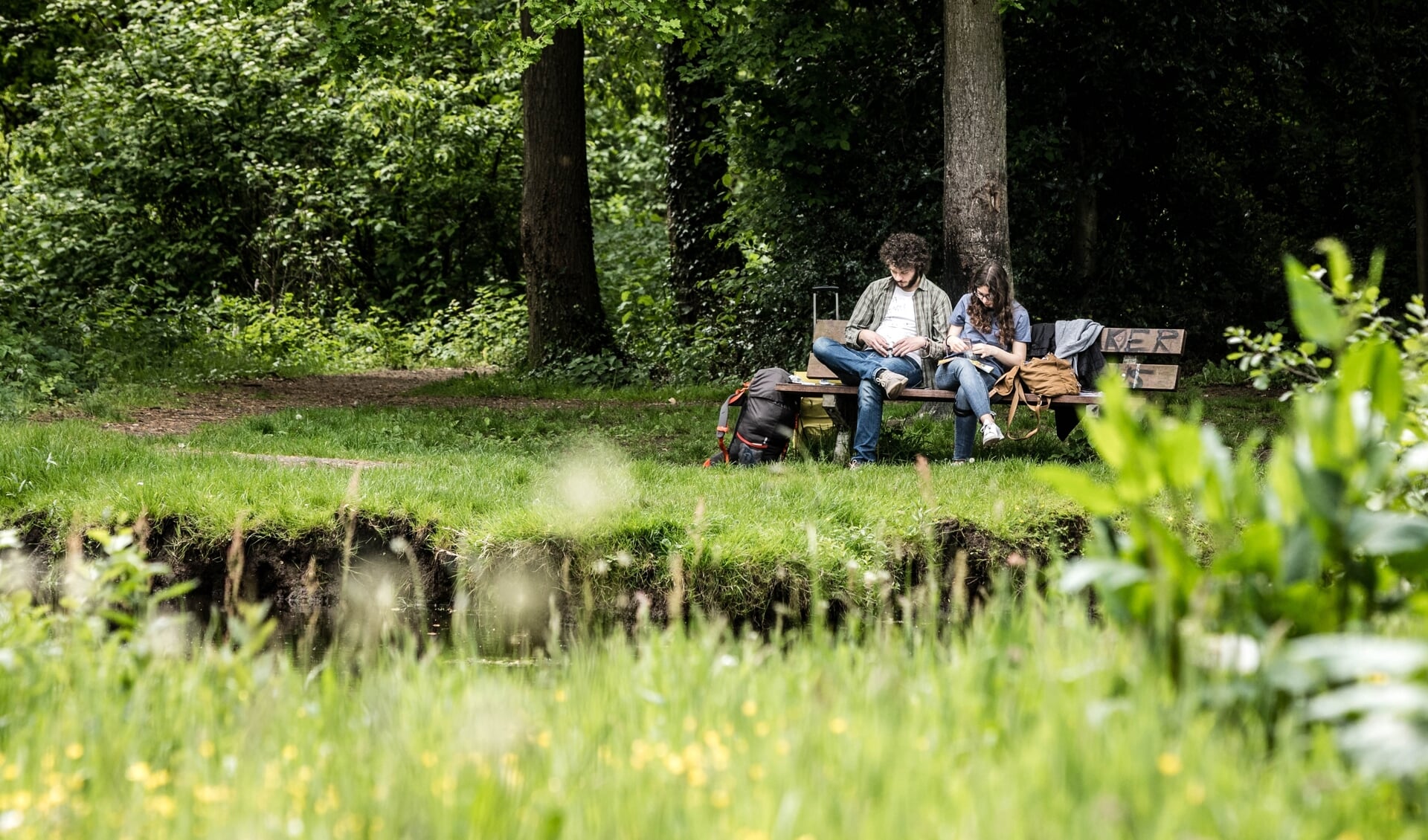 Nieuwe Wet Uitgelezen Kans Voor Meer Groen - Al Het Nieuws Uit Harderwijk