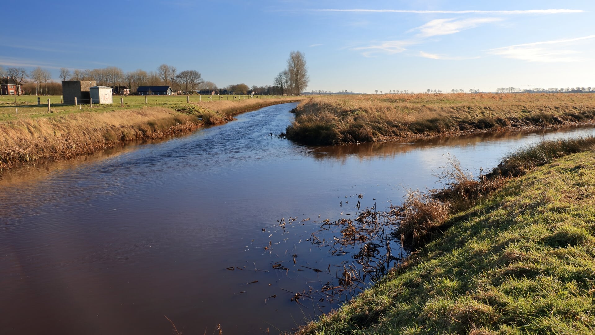 Fietsexcursie door natuurgebied De Branden