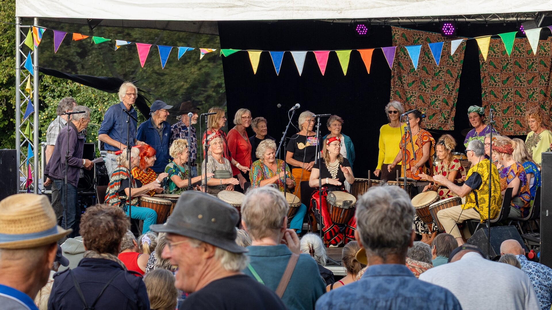 Zonovergoten en kleurrijk lustrum Festival Den Andel