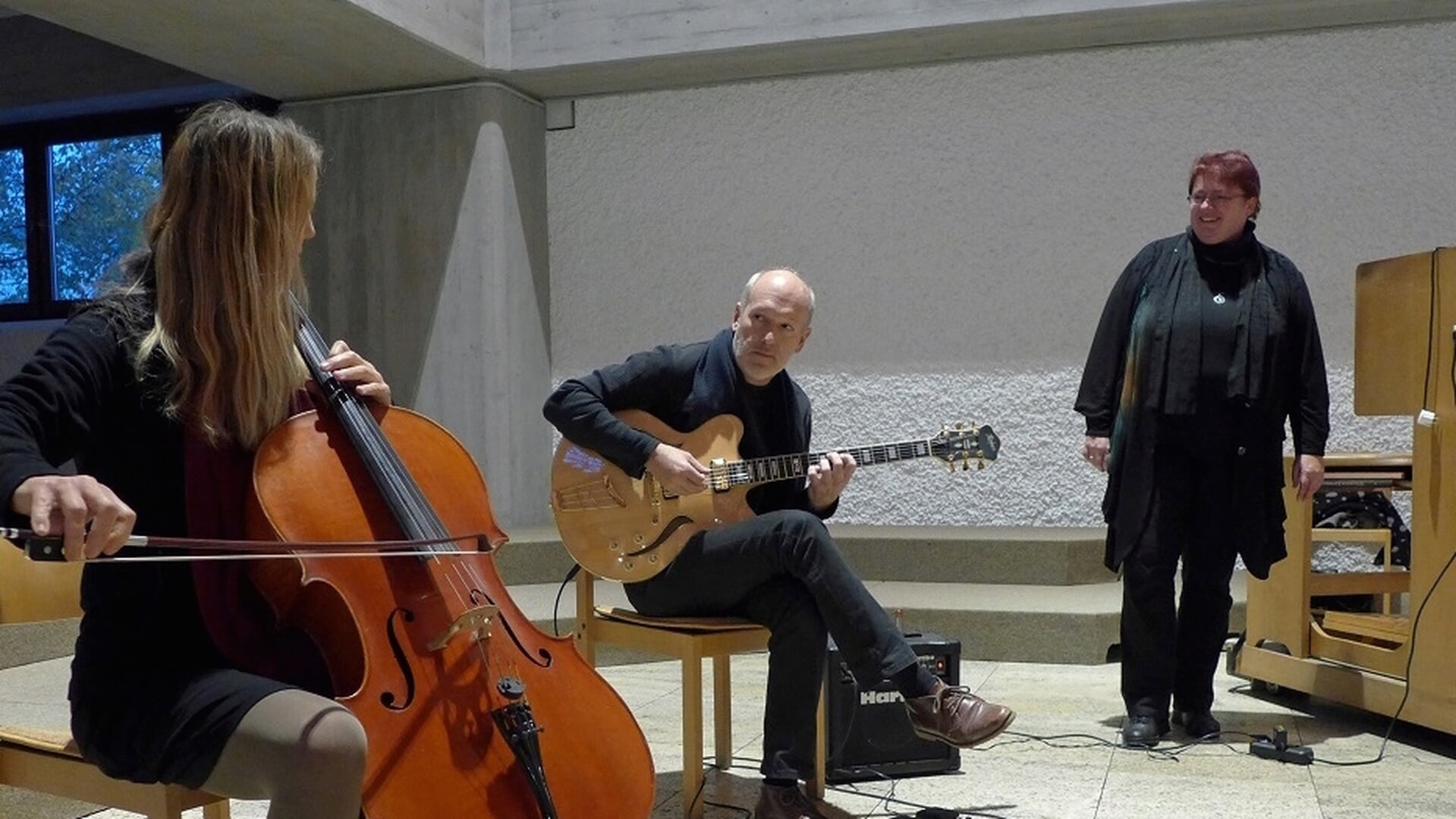 Boreas Duo en organiste geven concert in Den Andel