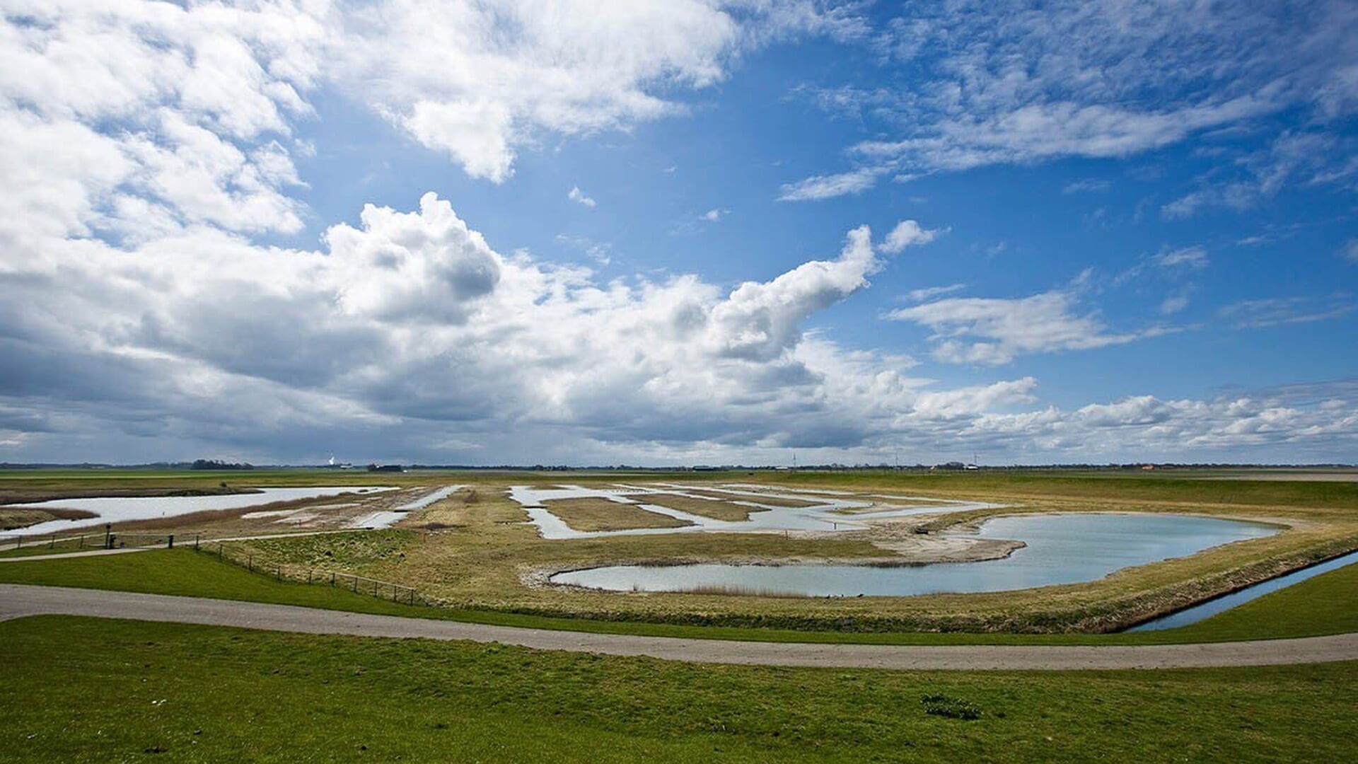 Klutenplas bij Den Andel wordt nóg aantrekkelijker voor wadvogels