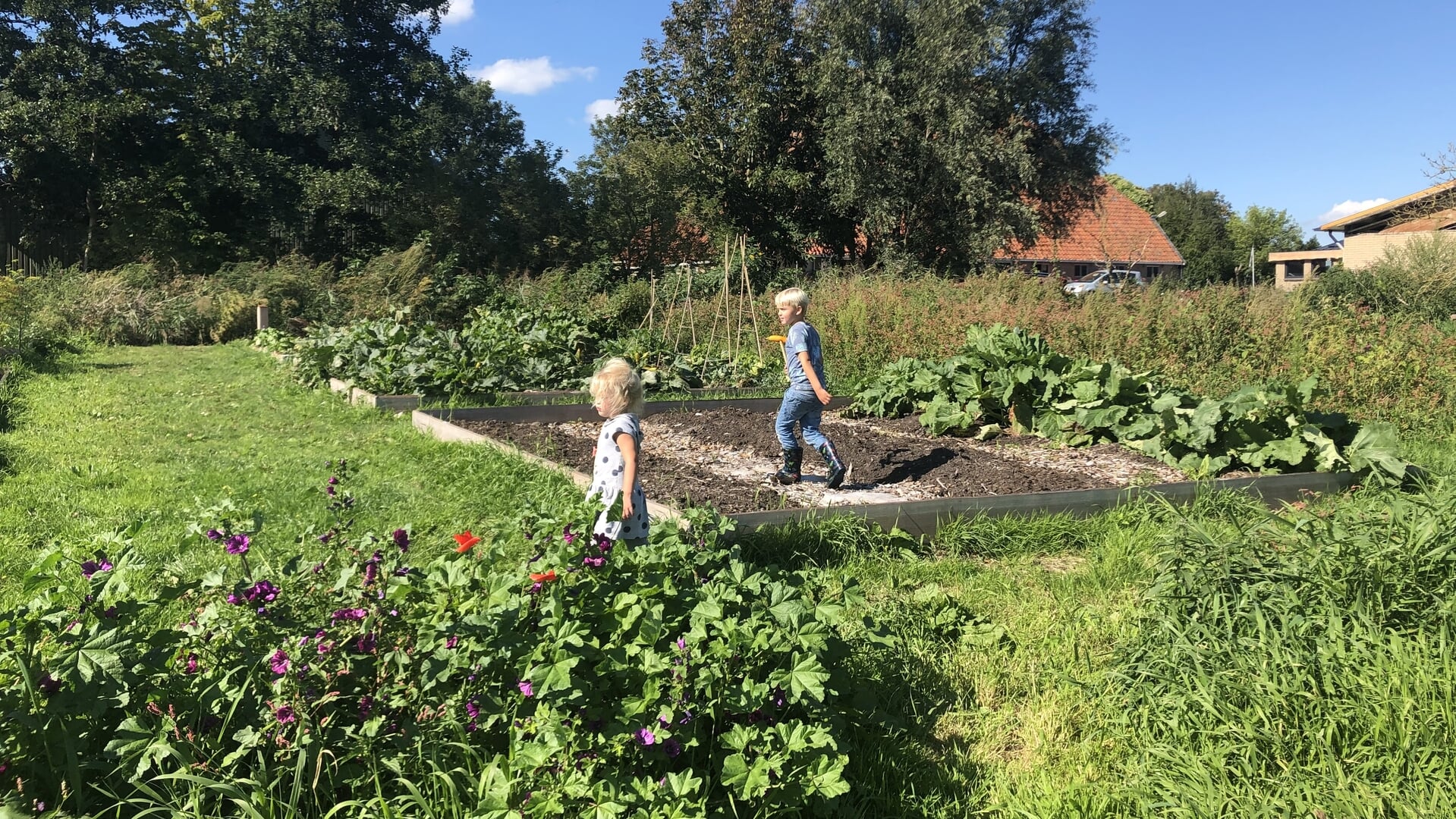 Cursus Biologisch Moestuinieren bij Stadsboerderij De Sibbe