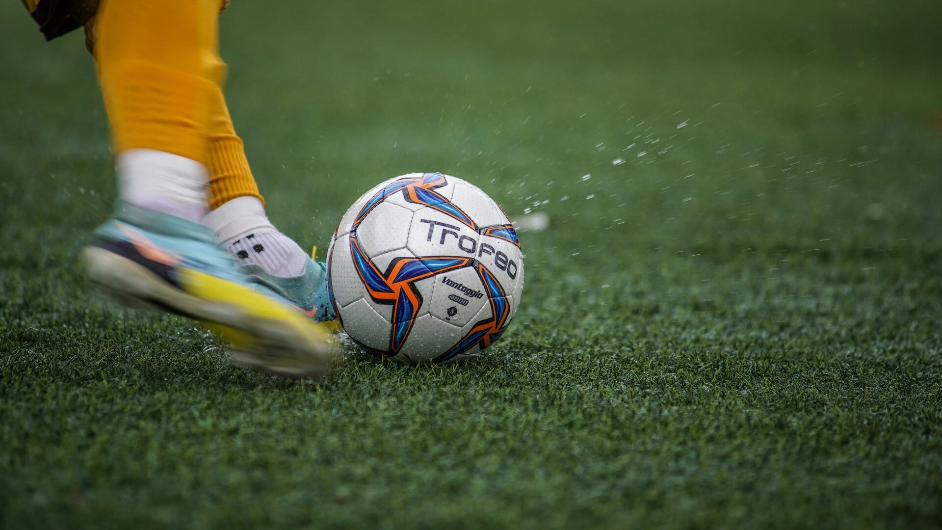 Remise voor Zeester (2-2)