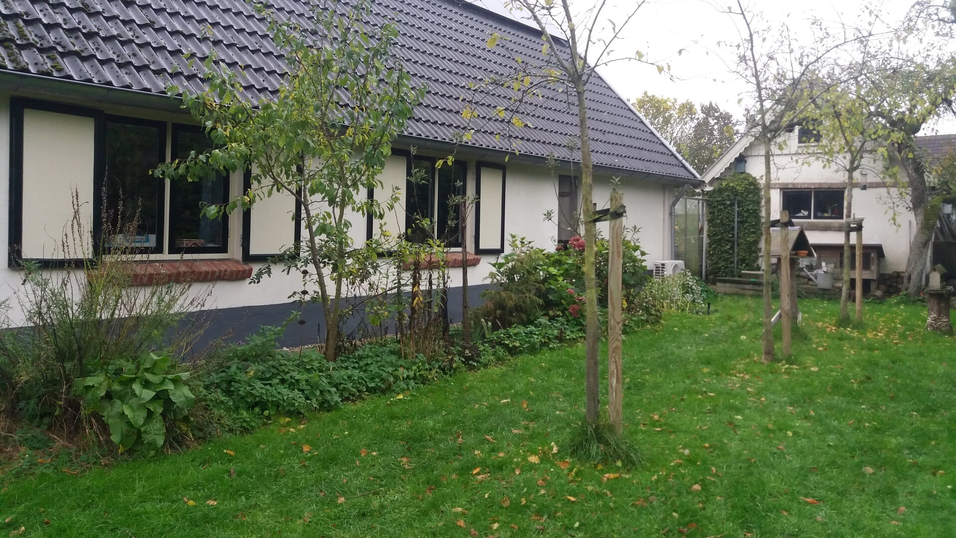 Samen vergroenen met een bomenbon