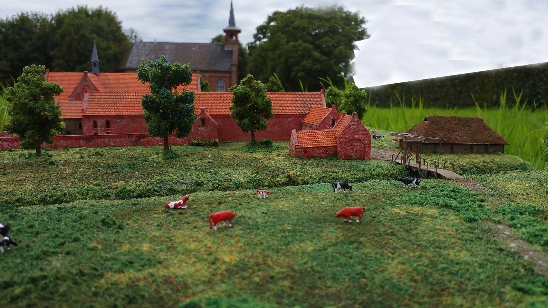 Lezing over Groninger kloosters