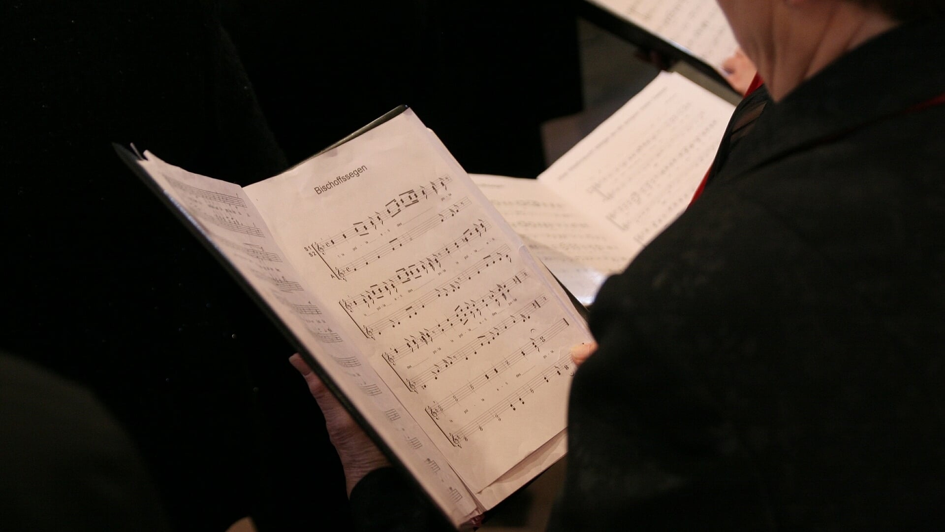 Johannes de Heer-zangavond in Onstwedde