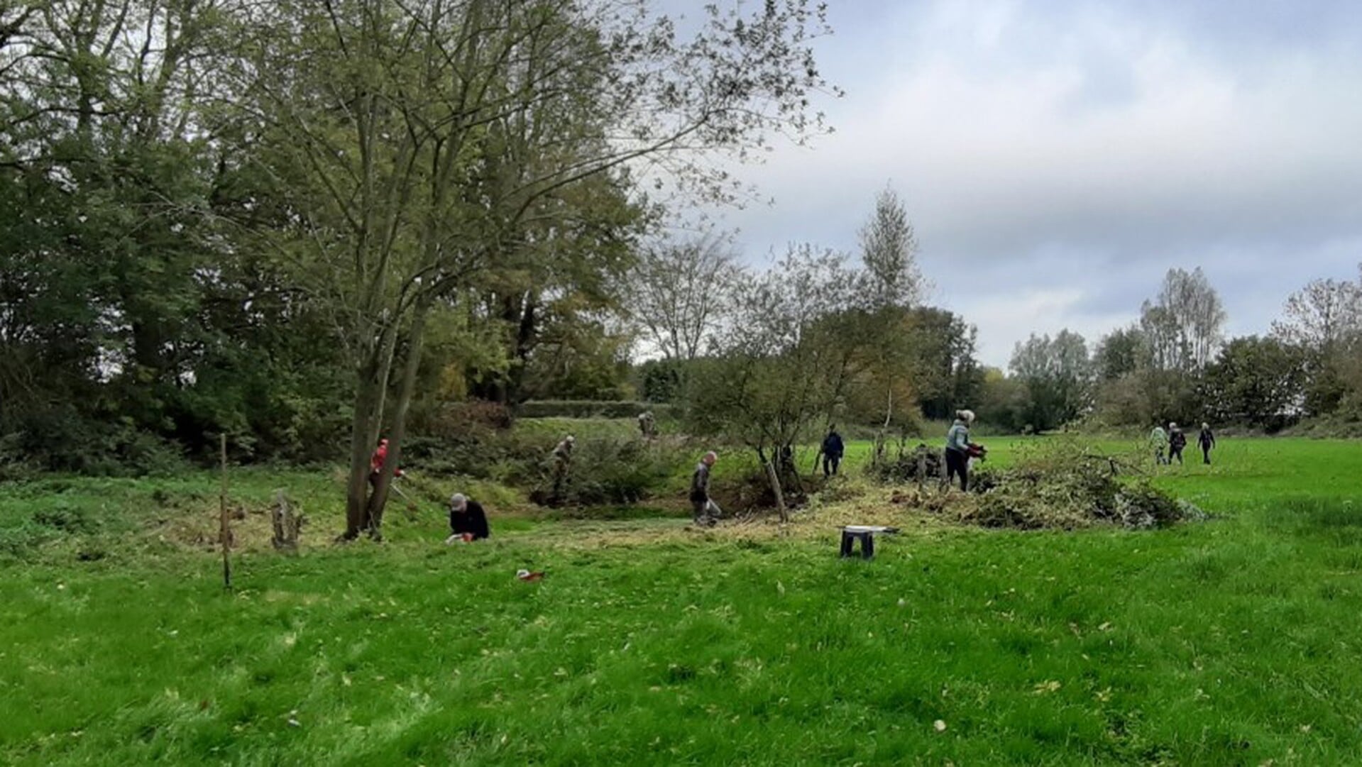 Vrijwilligers aan de slag in Dagenbroek: eerste stap naar mooier natuurgebied