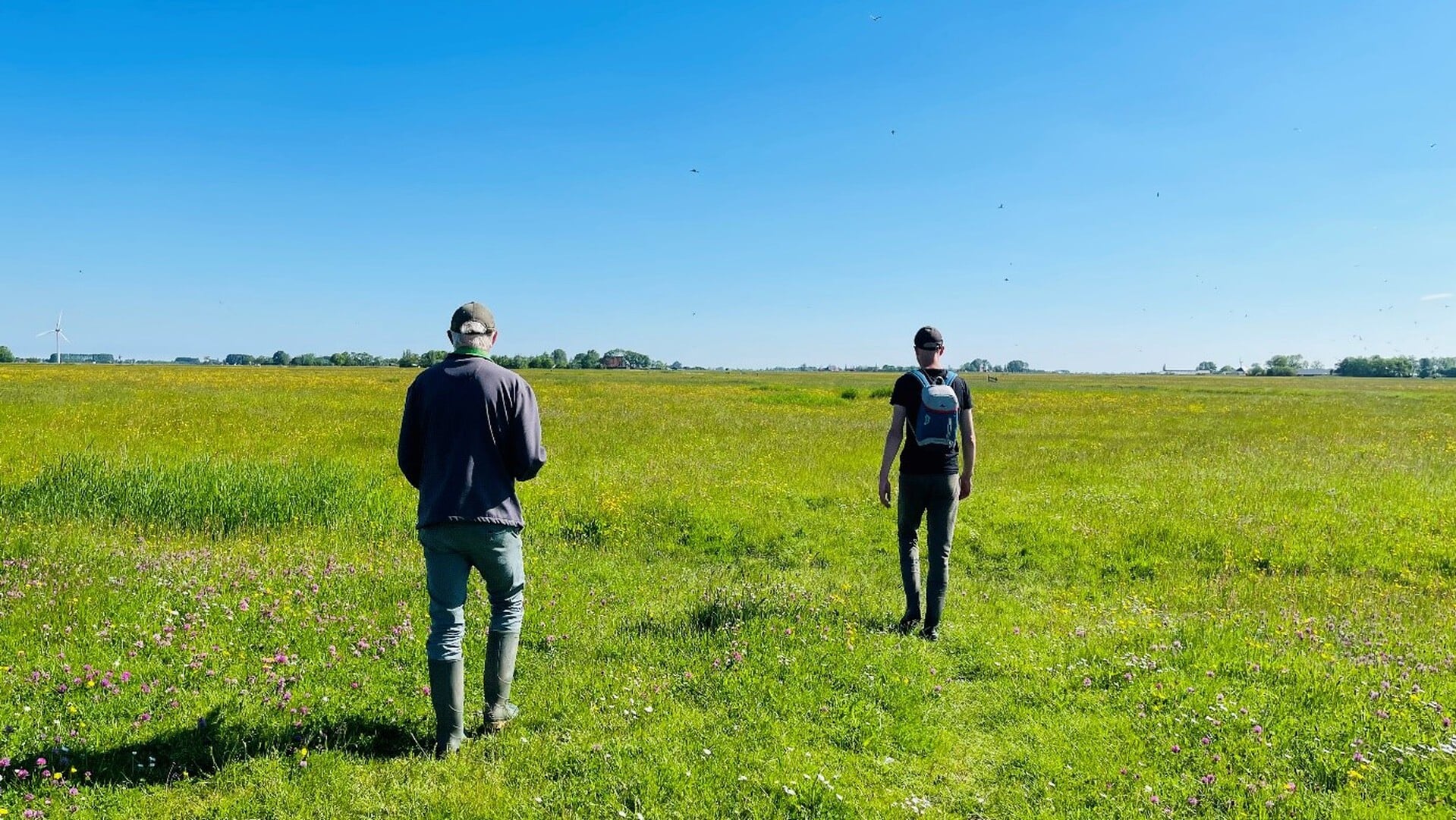 Basiscursus weidevogelbeschermer in Workum