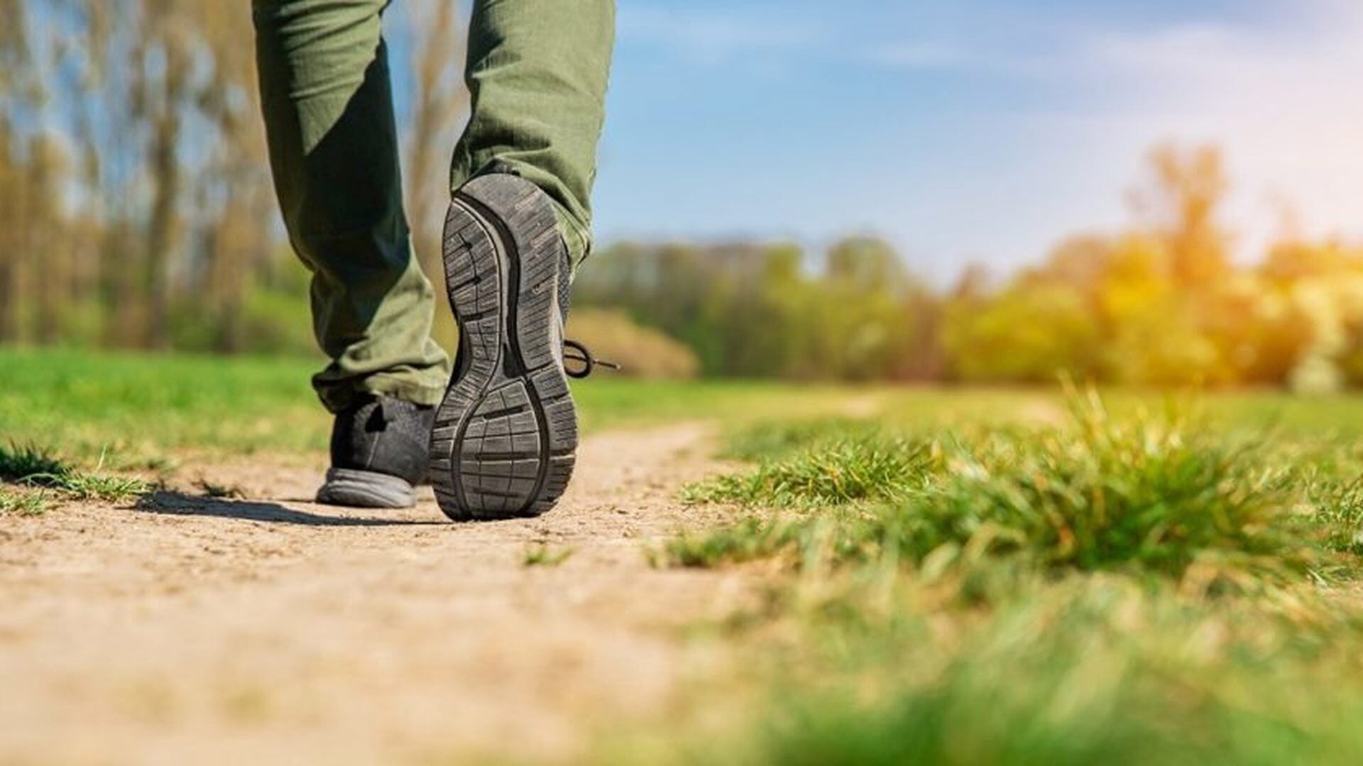 Historische wandeling over de Oude Dijk bij Warffum en Breede