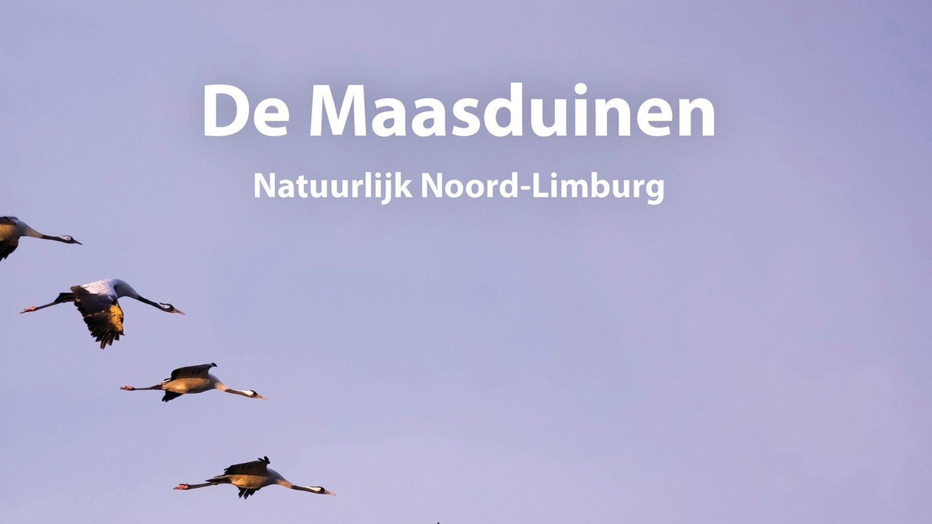 Boekpresentatie ‘De Maasduinen, Natuurlijk Noord-Limburg’