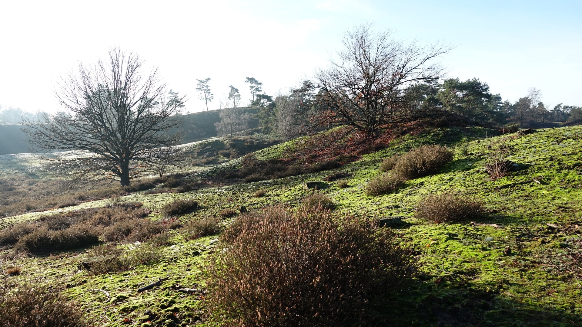 Workshop ‘Ons landschap zien’