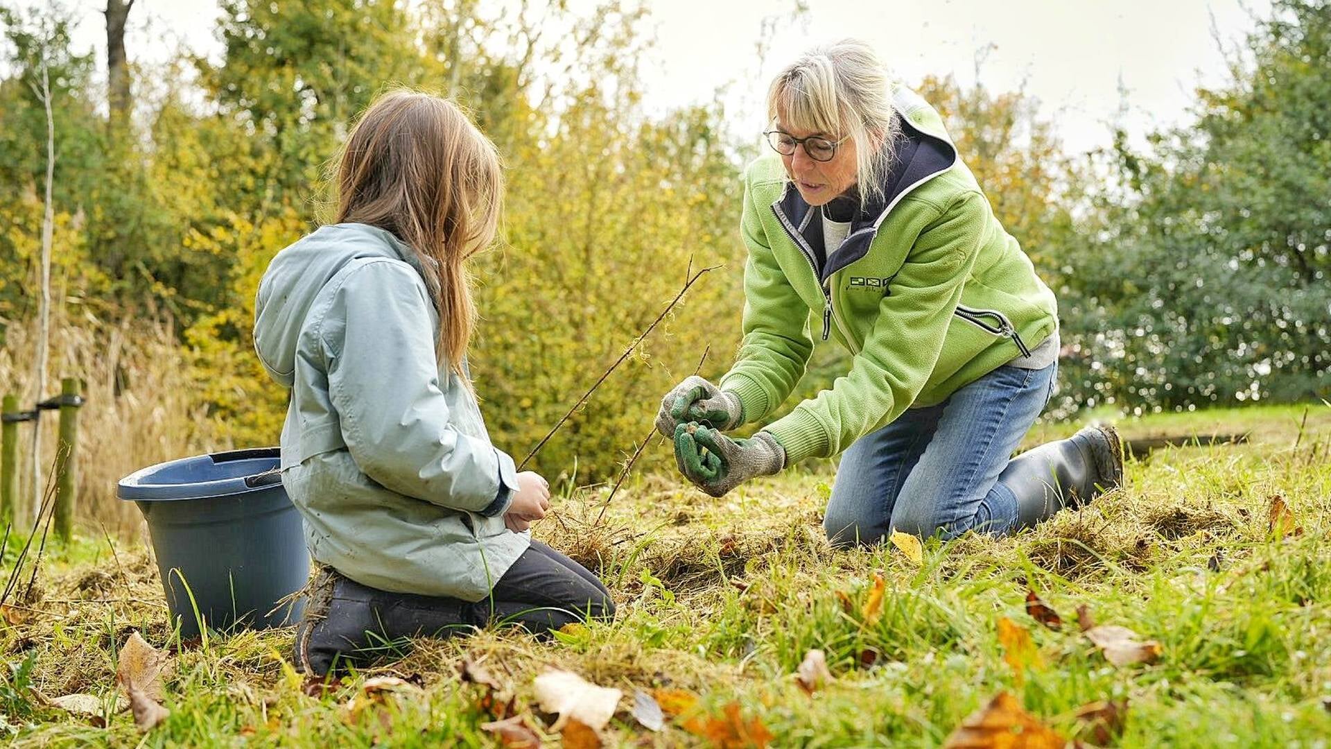 Natuurwerkdagen op vijftig locaties in Groningen