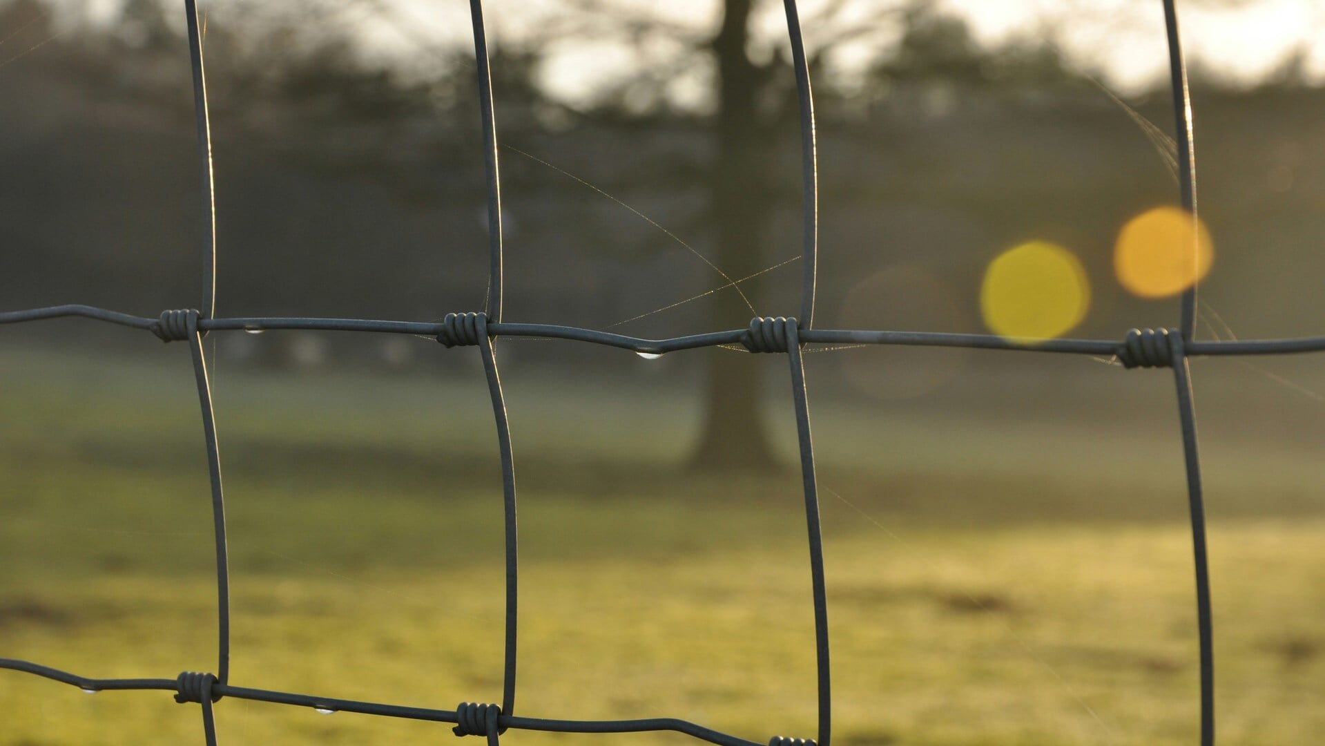 Zege voor Middelstum