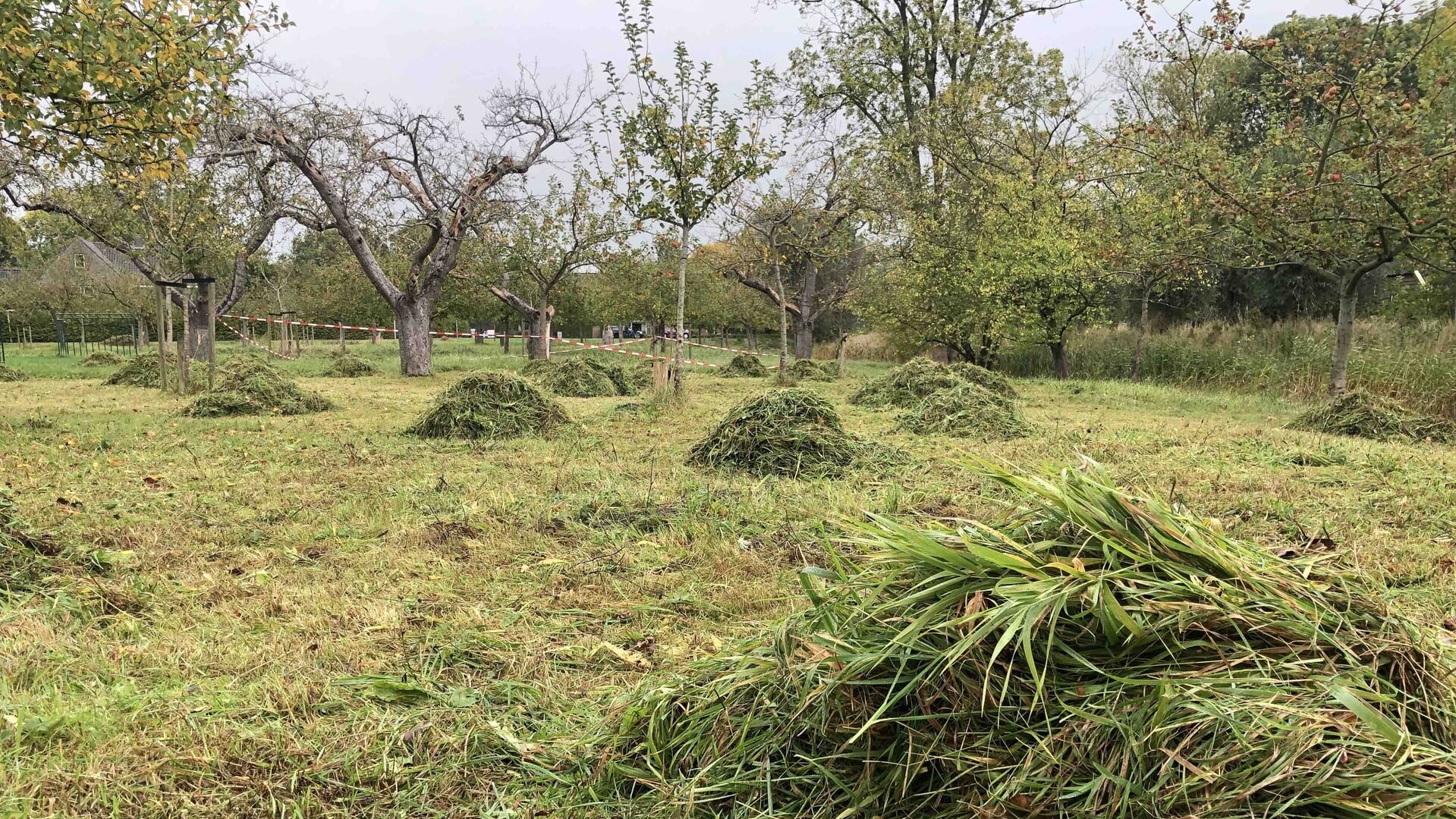 Natuurwerkdag in Appelhof Winsum