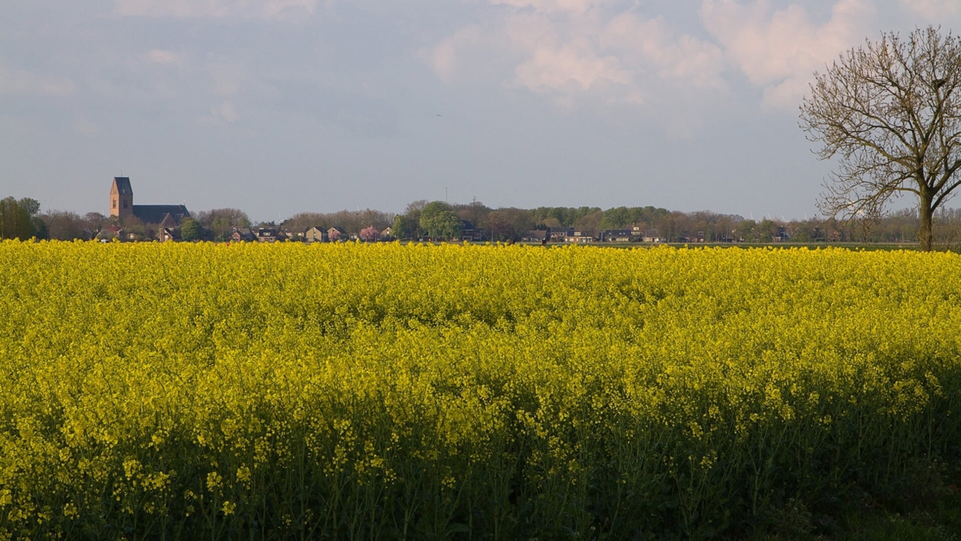 Loppersum presenteert dorpsplan 2026-2040