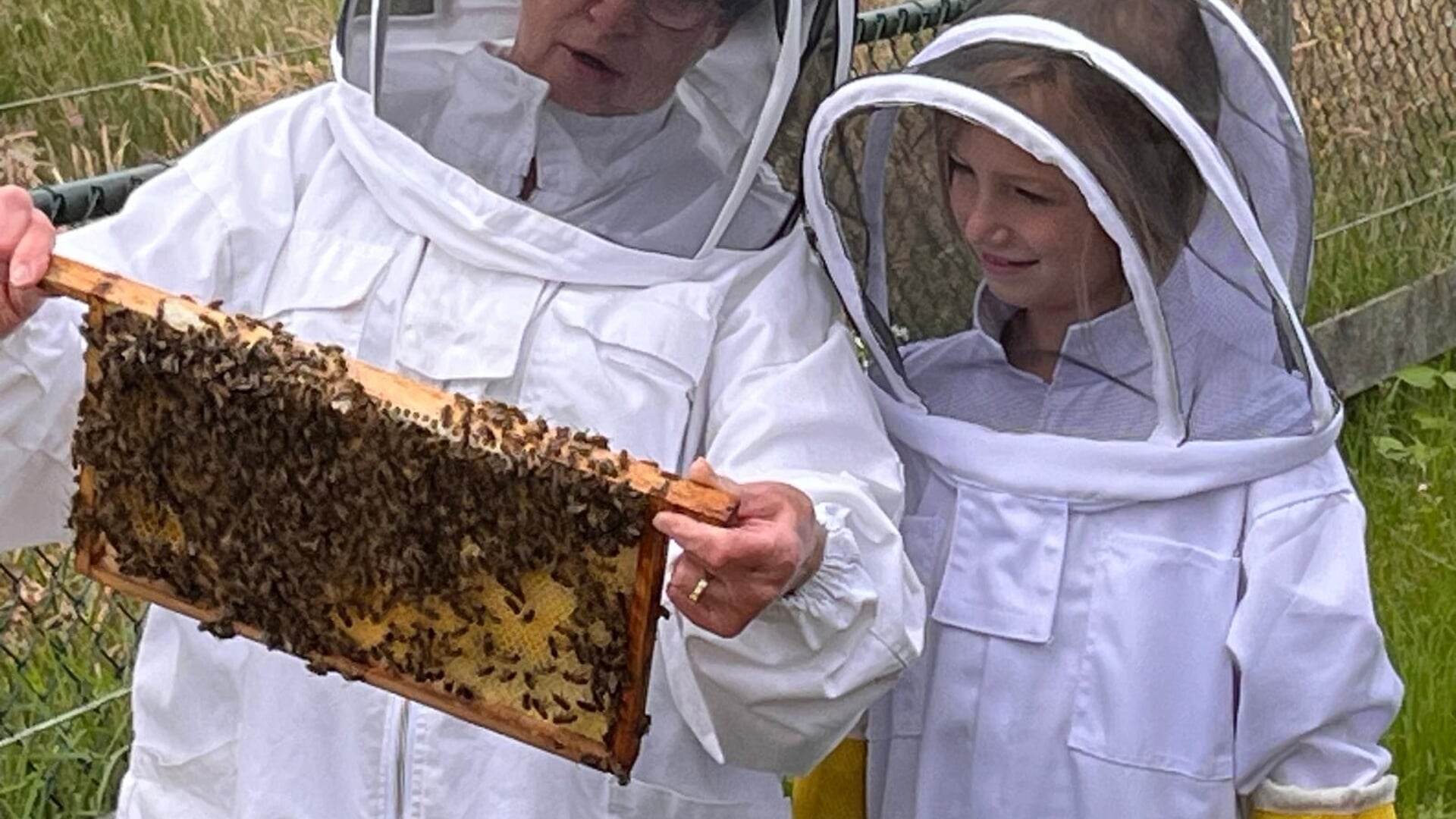 Op bezoek bij de imker in de buurt
