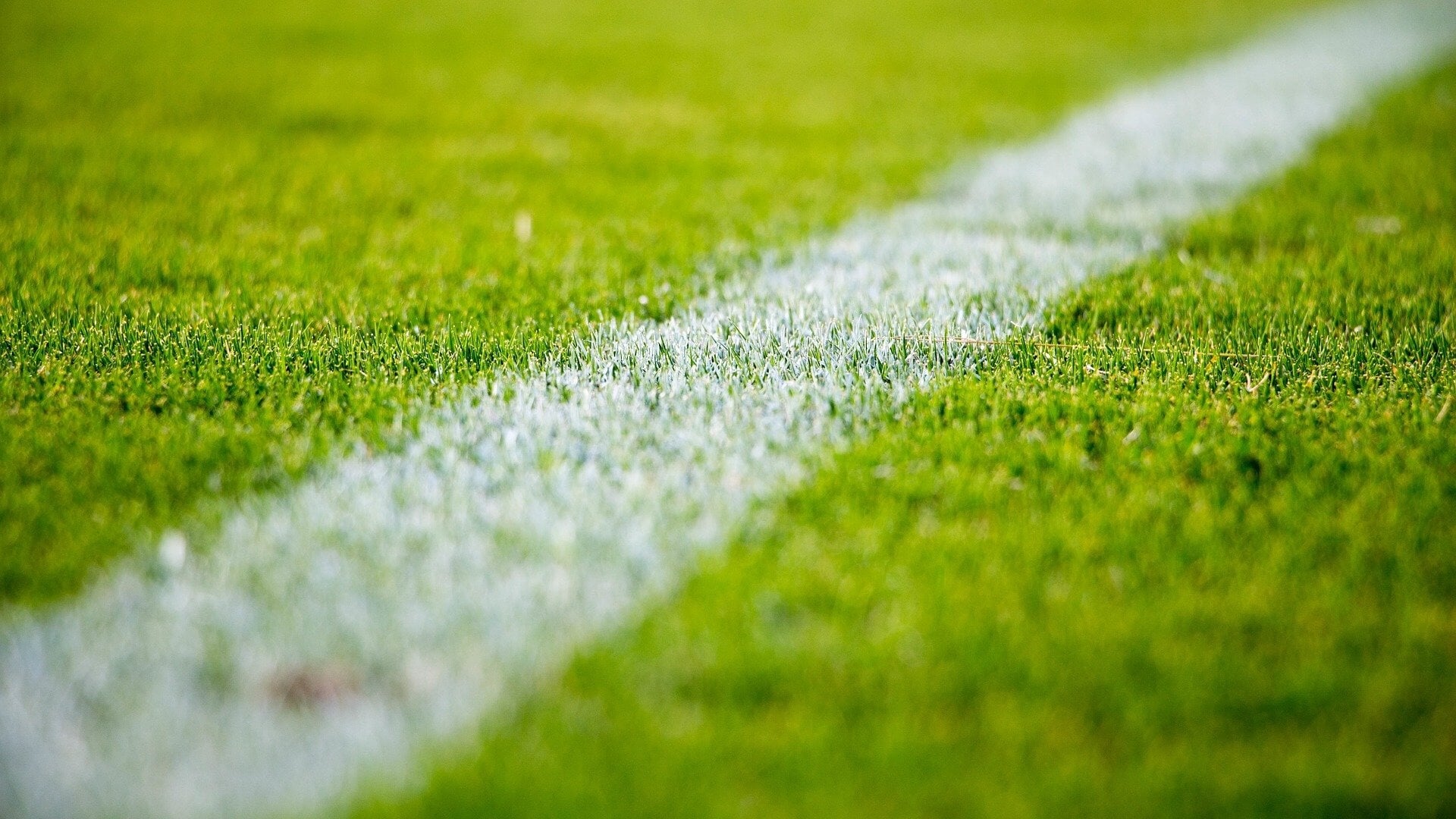 Sportprogramma 1 en 2 november