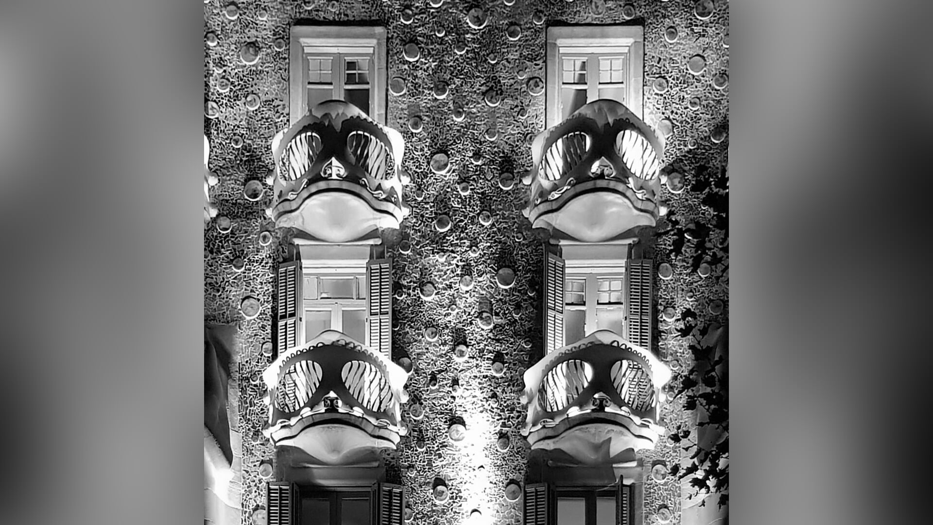 Fotoclub Borger-Odoorn presenteert beste foto van de maand