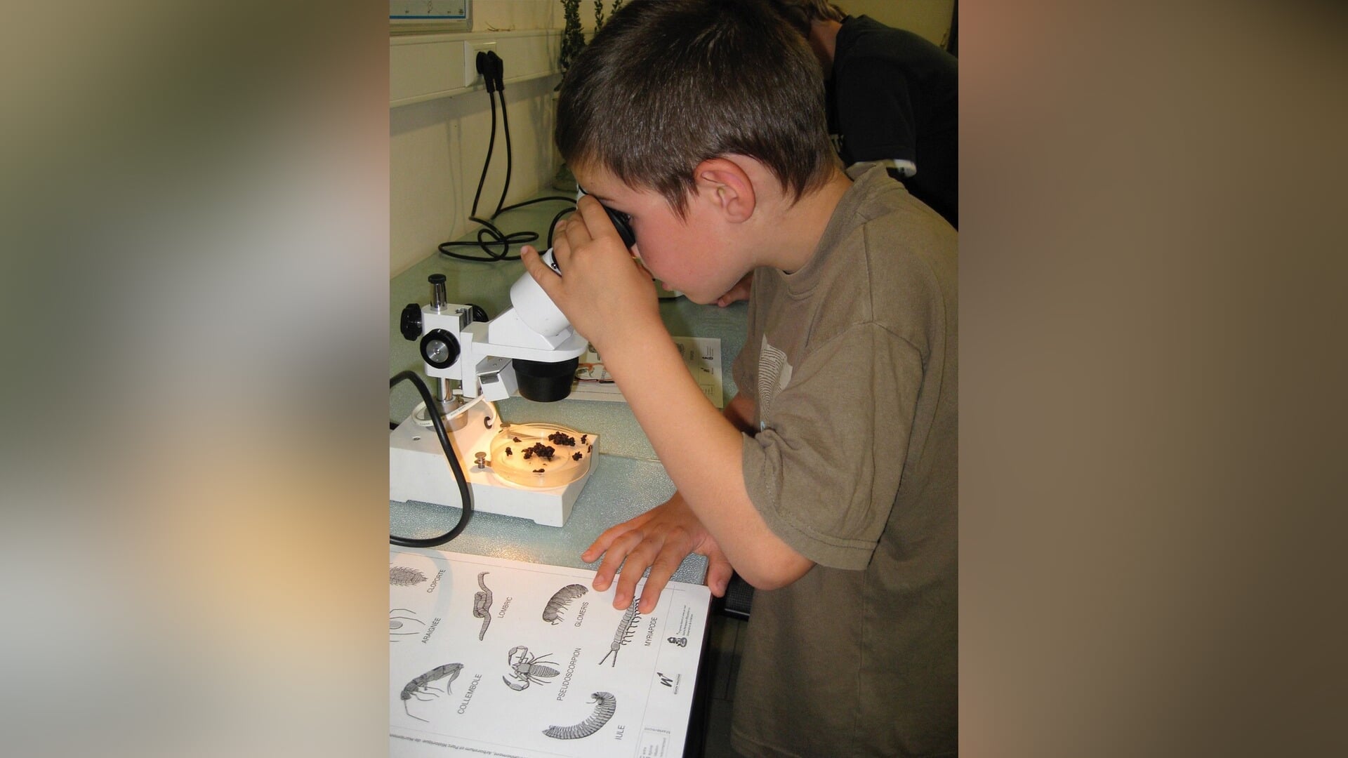 Microscopenmiddag op Ewsum