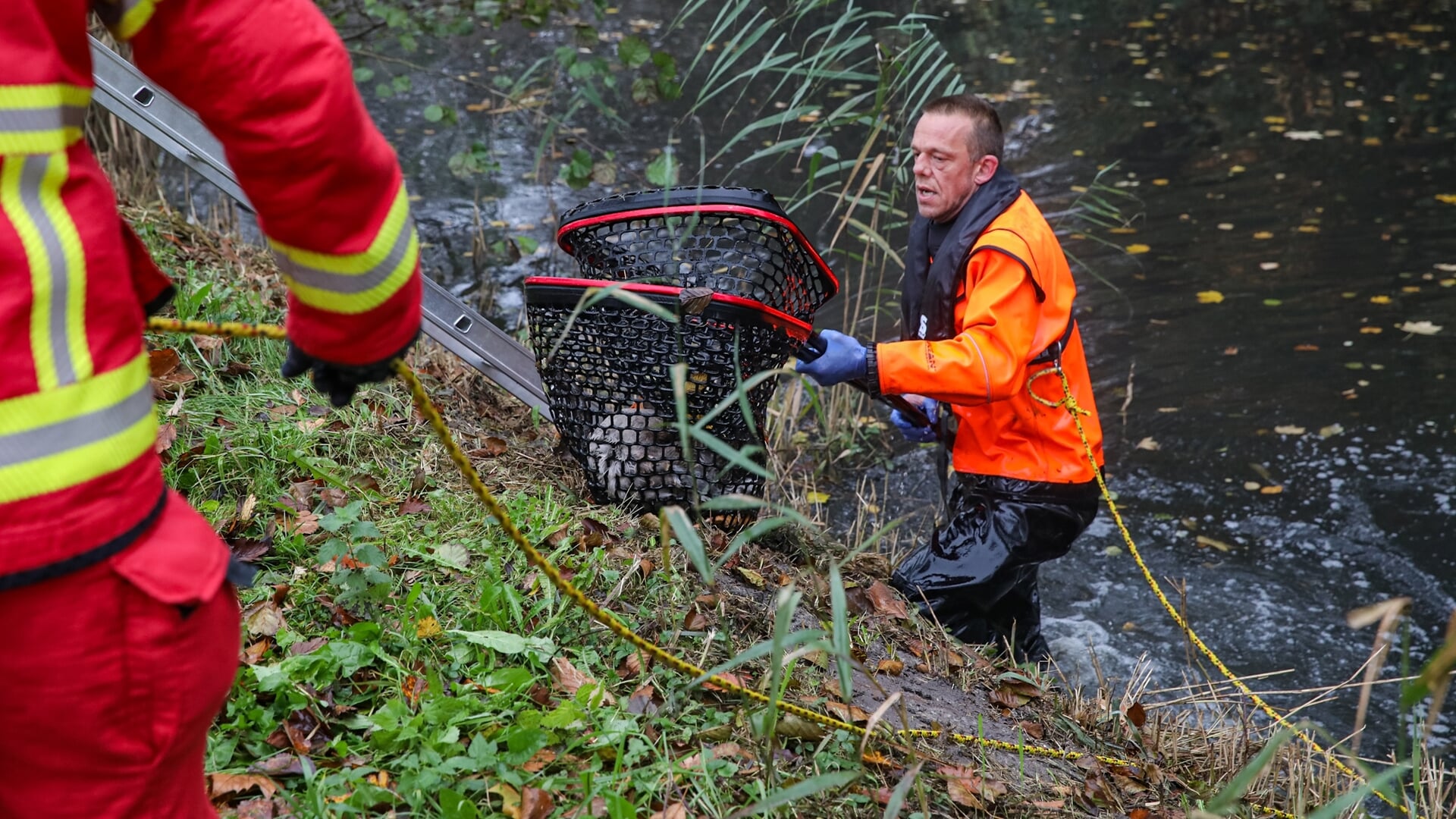 Brandweer in actie voor gans in Stedum