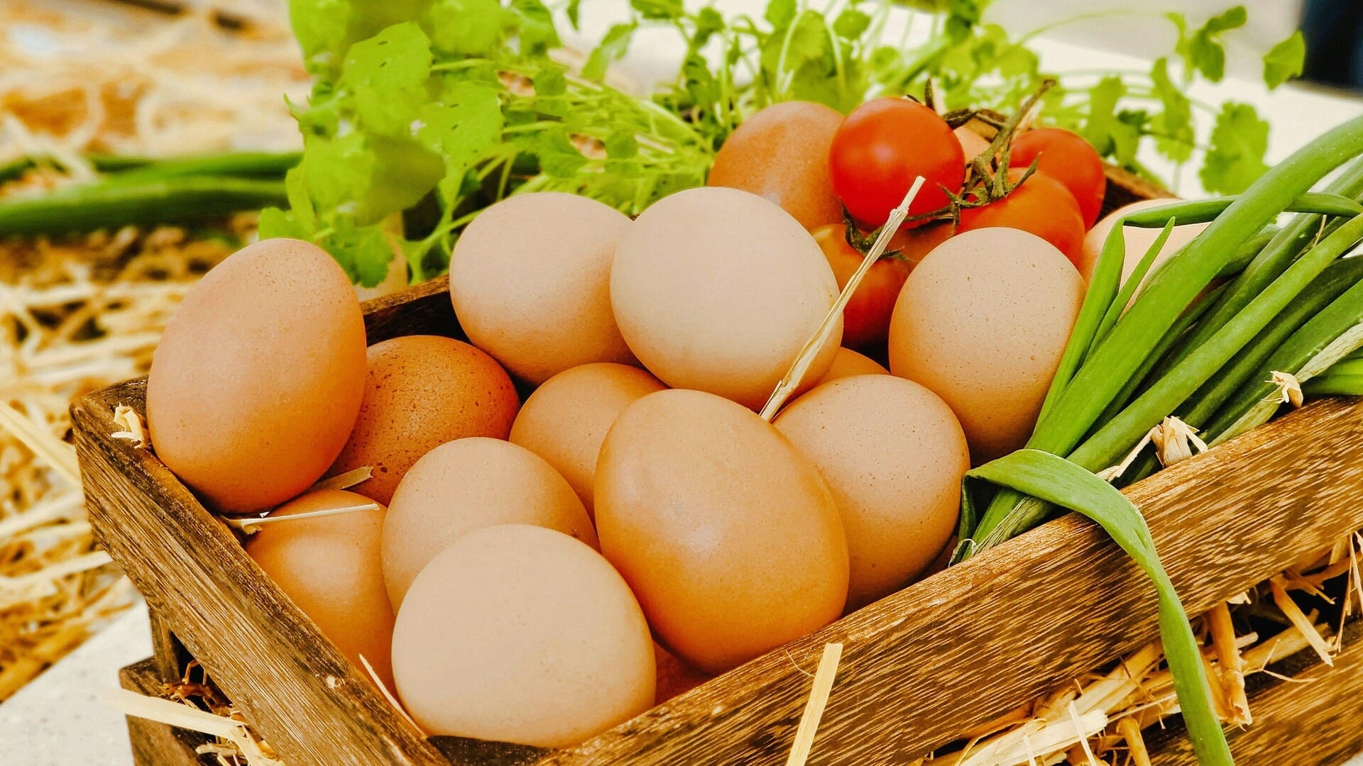 Filmfestival over voedsel en landbouw komt naar Noord-Groningen