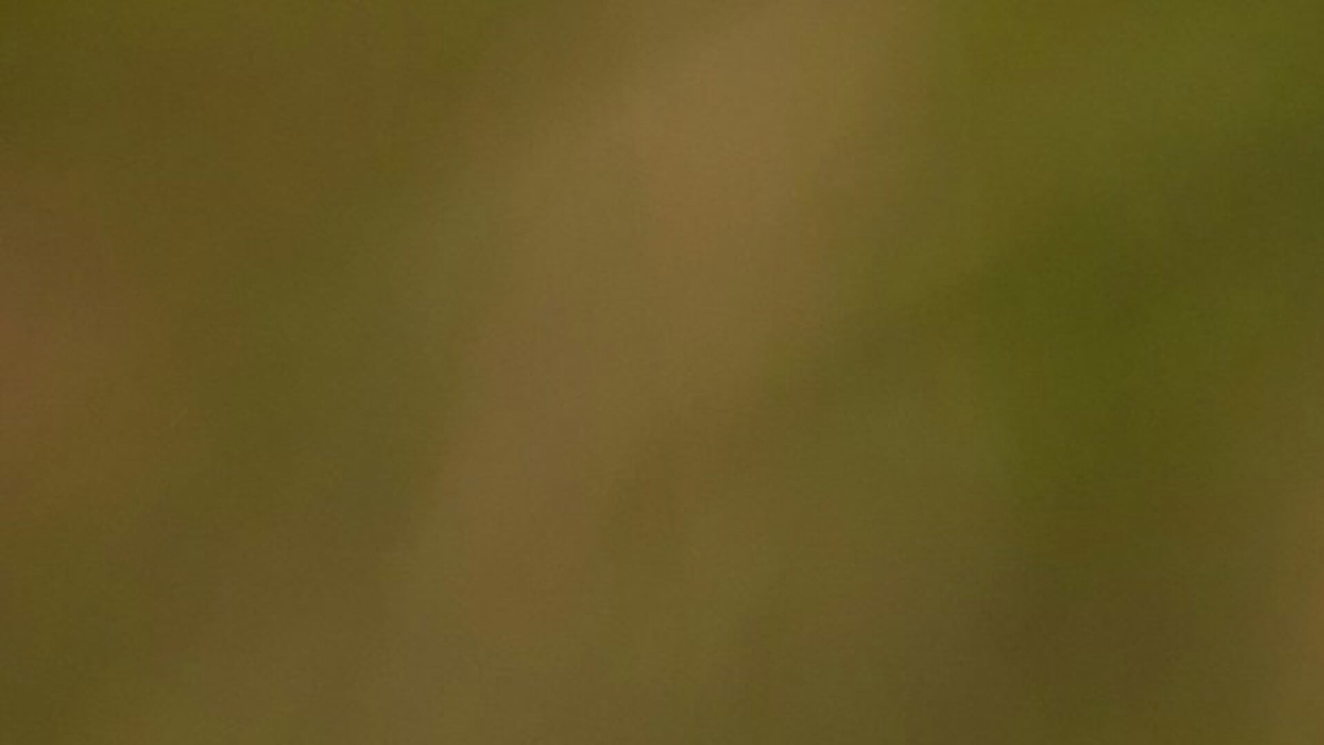 Rood Zwart Baflo wint bij Ezinge