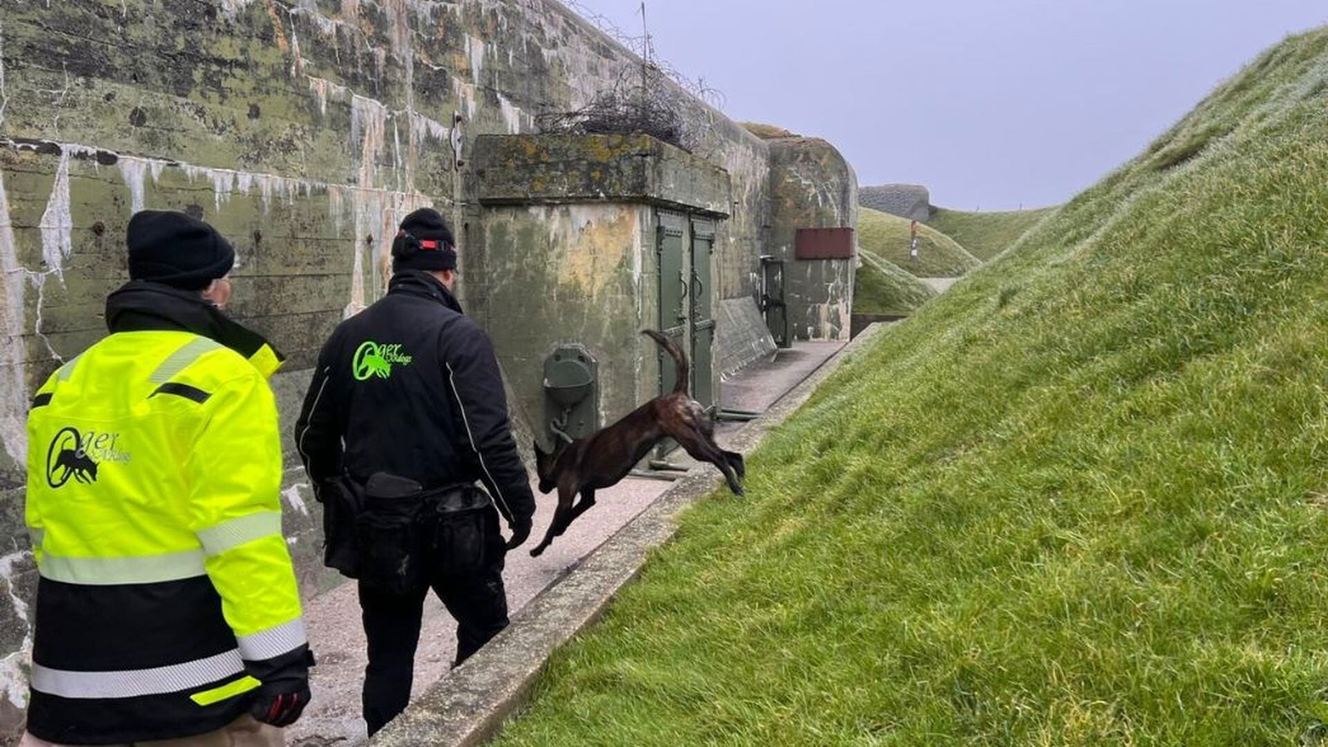 Oger SARdogs trainen en speuren in het Kazemattenmuseum