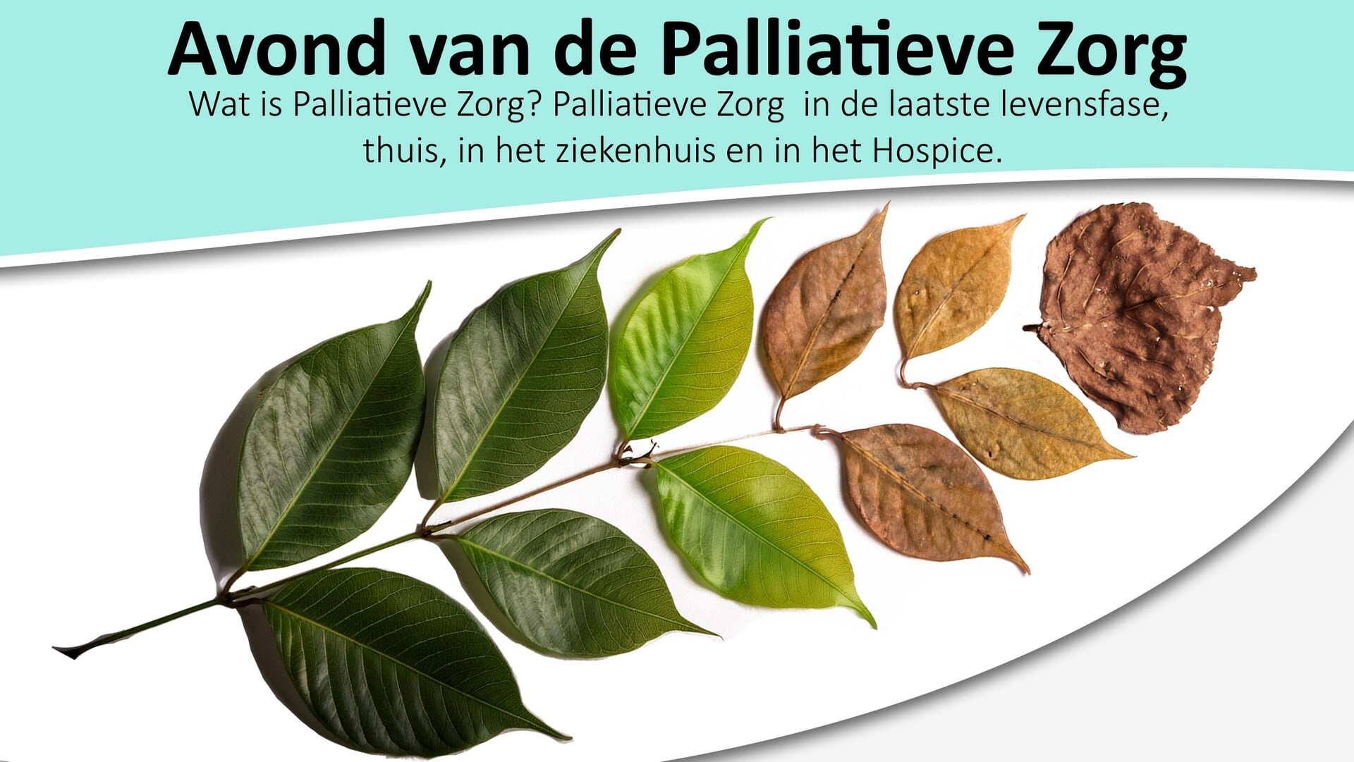 Avond van de Palliatieve Zorg in Gorredijk