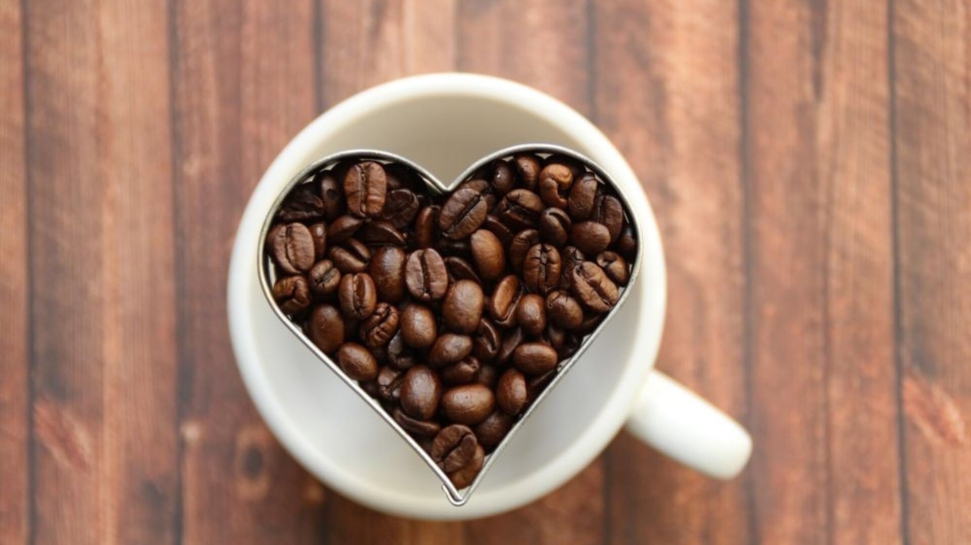 Koffieochtend over de Griendhout, georganiseerd door Senioren HDL