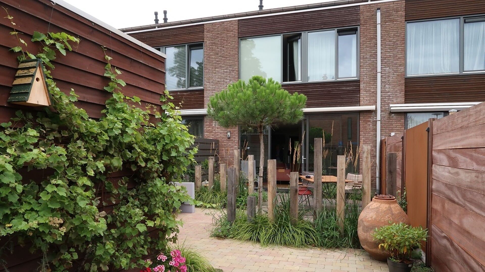 Planten in het najaar