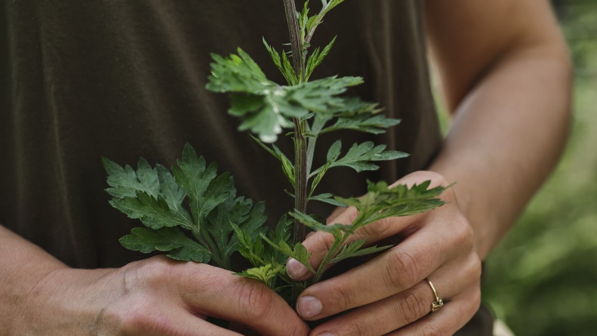 Lekker bezig bij De Eijnderic