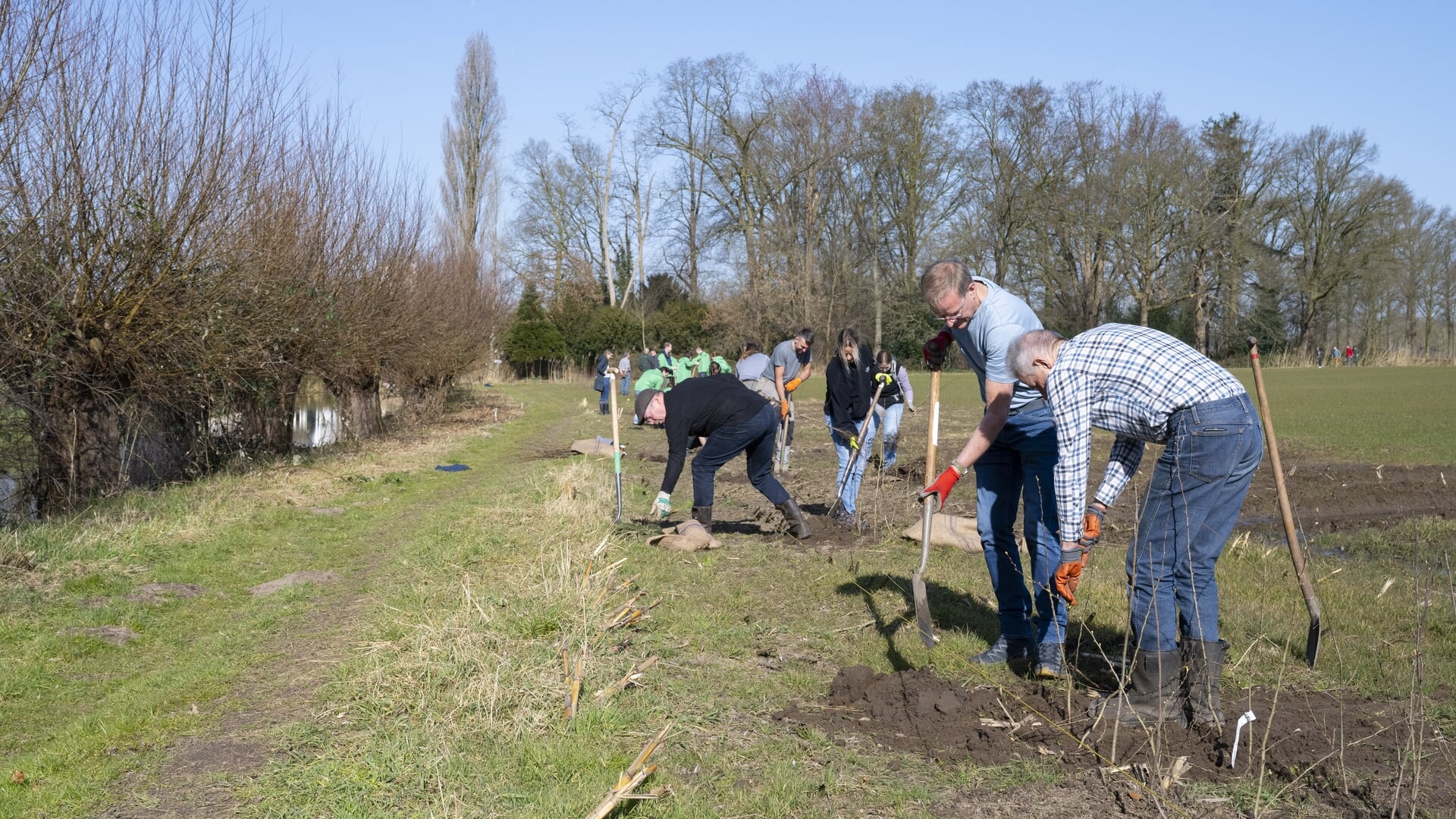 Tweede plantdag voor natuurinclusief landbouwproject De Strepen