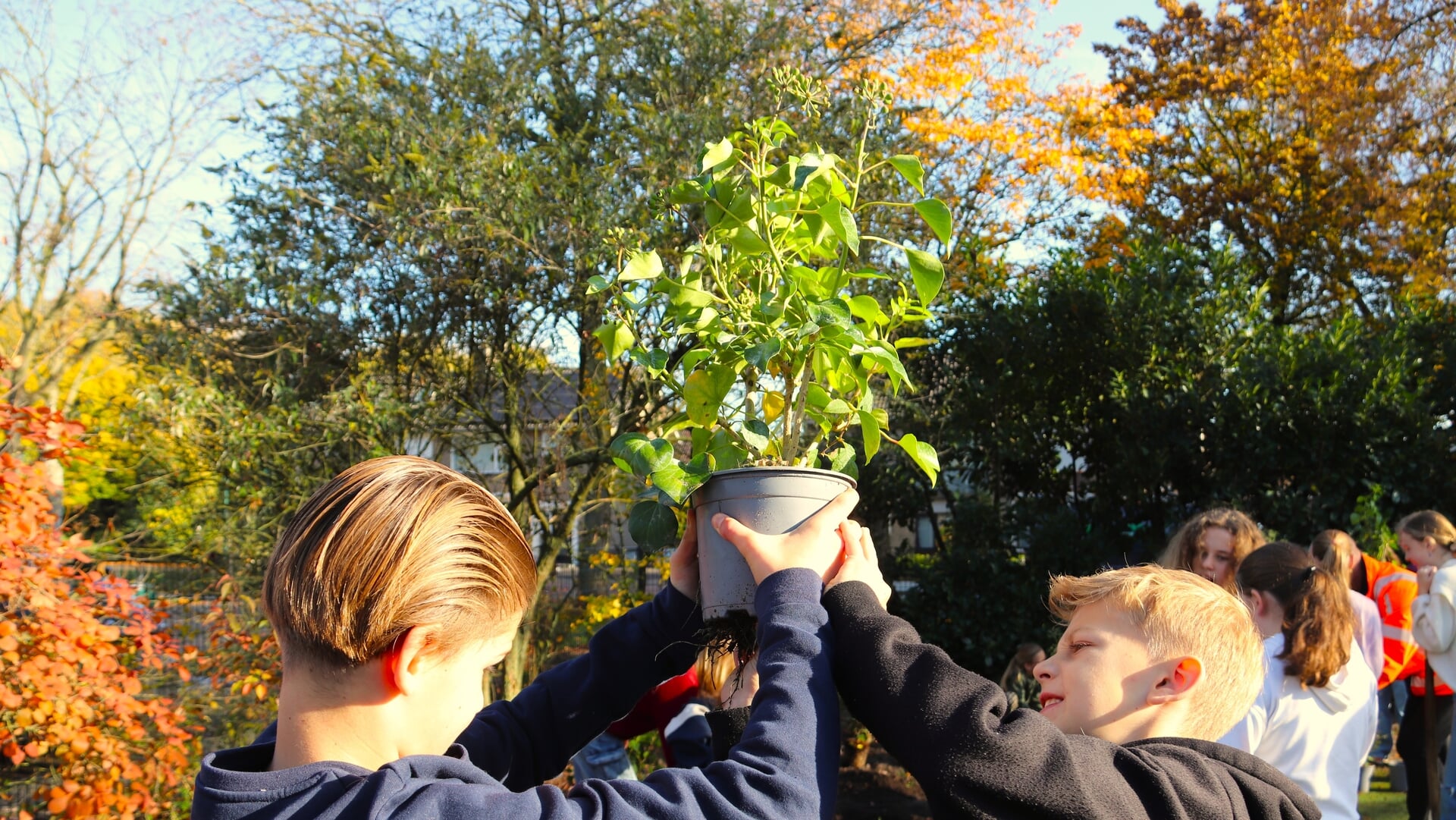 Aan de slag tijdens Boomfeestdag op de Beekgraaf