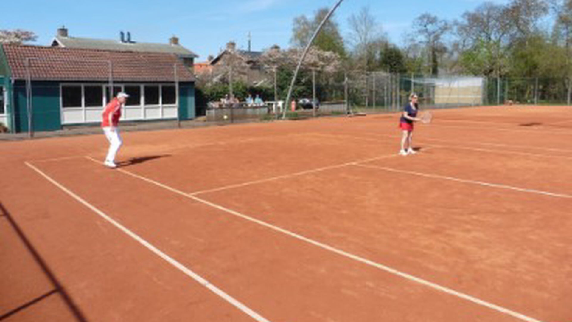 De afdeling Tennis van Omni Sportvereniging Oeverzwaluwen uit Koudum bestaat 50 jaar