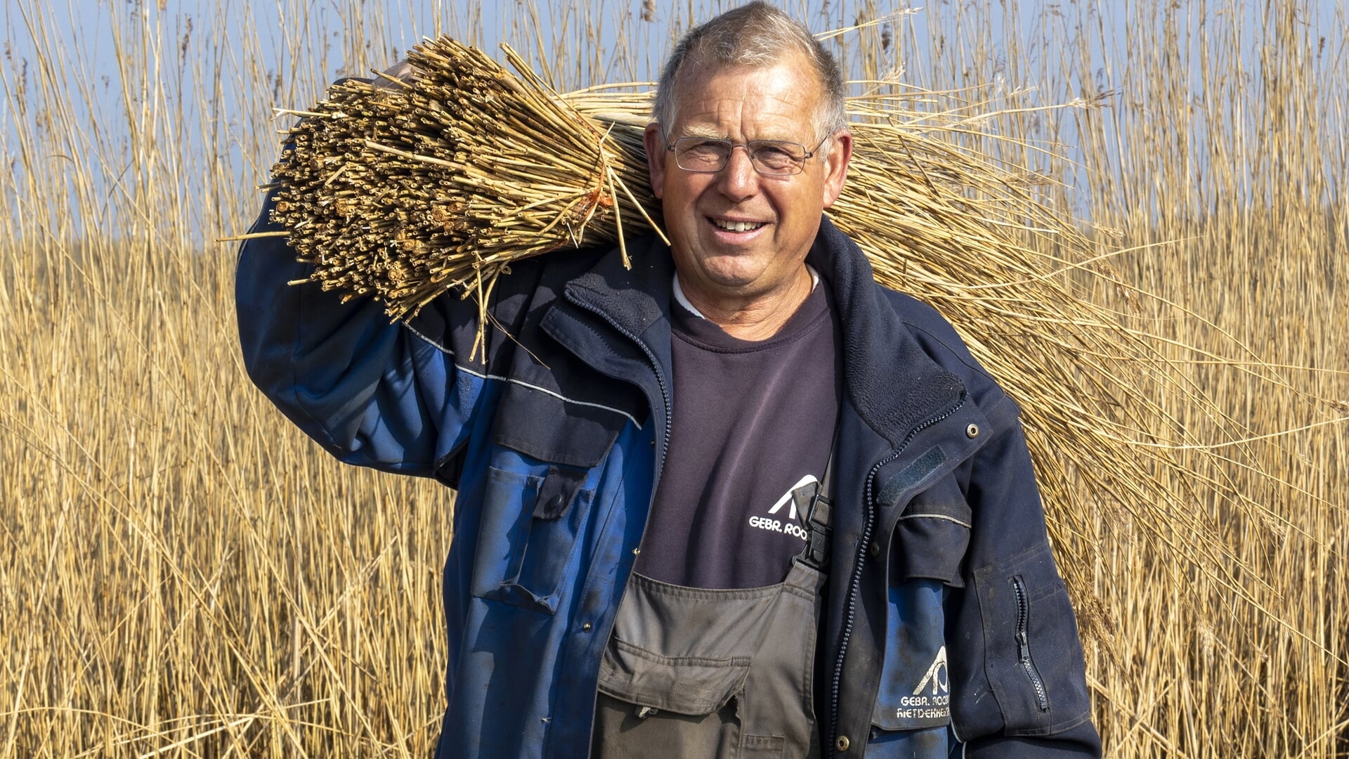 Sikke Roosma, rietsnijder langs de IJsselmeerkust: “Riet maaien is een duurzame vorm van natuurbehee