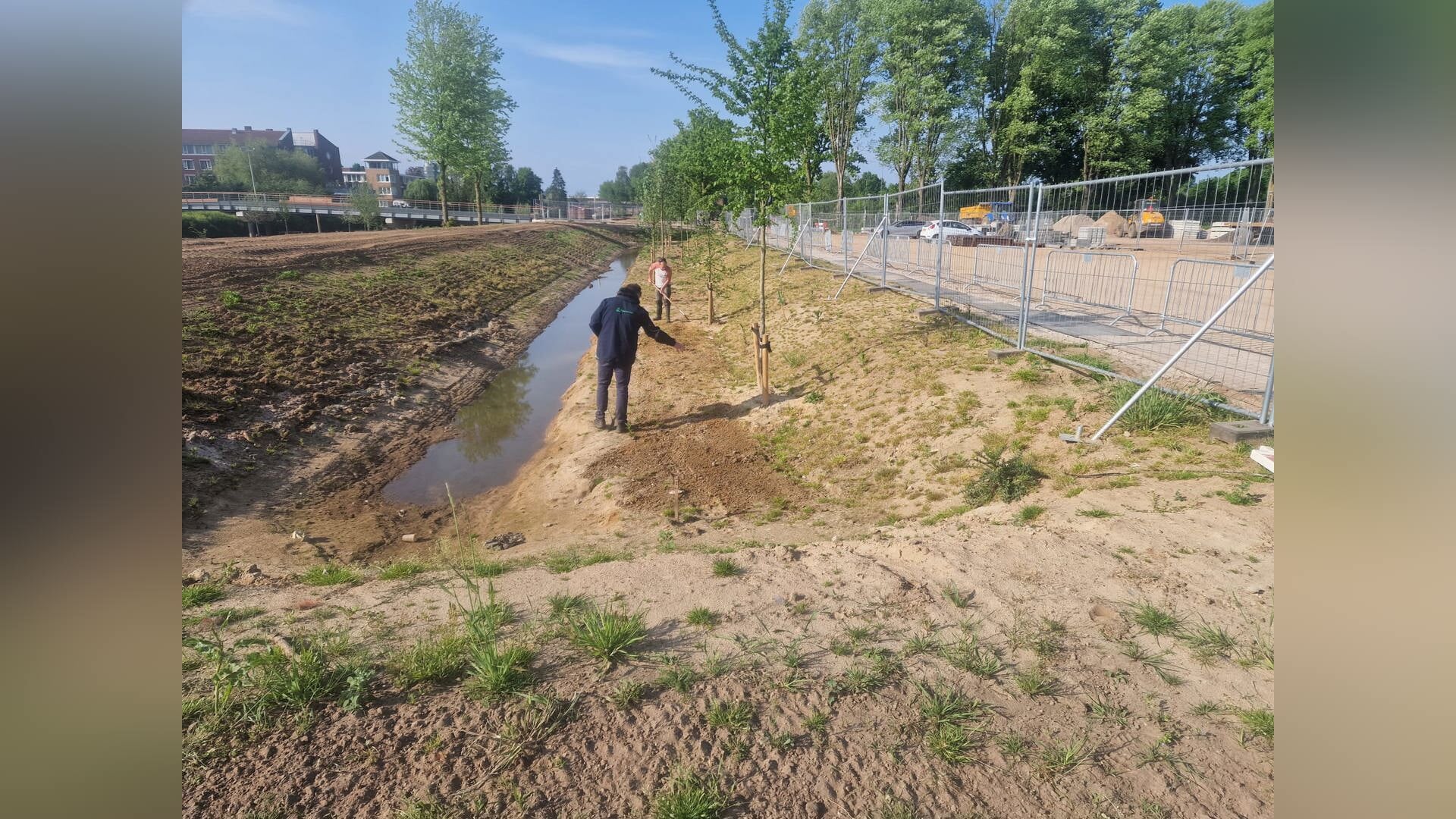 Geslaagde inzaaiactie langs de Dommel versterkt biodiversiteit