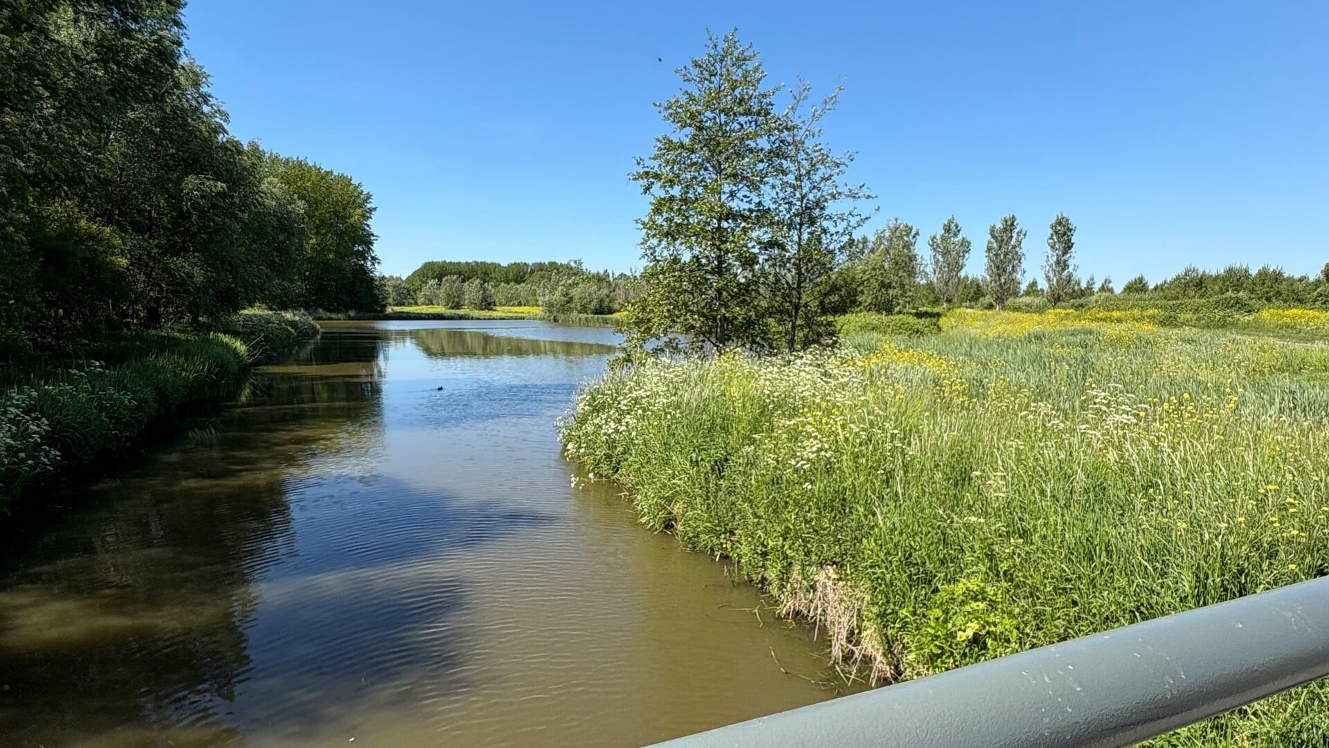 Zomerverwachting 2025: grote kans op warme zomer