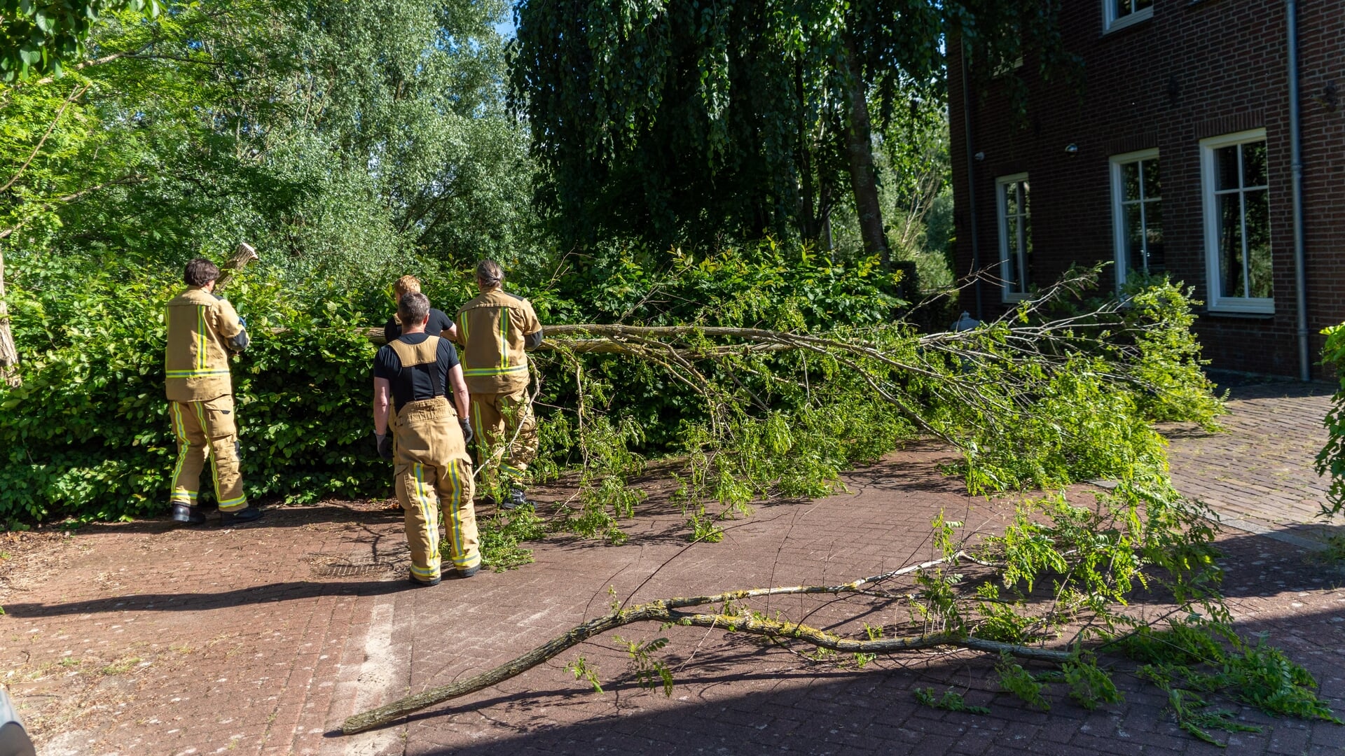Boom dreigt om te vallen in Pijnacker: brandweer zaagt gevaarte in stukken