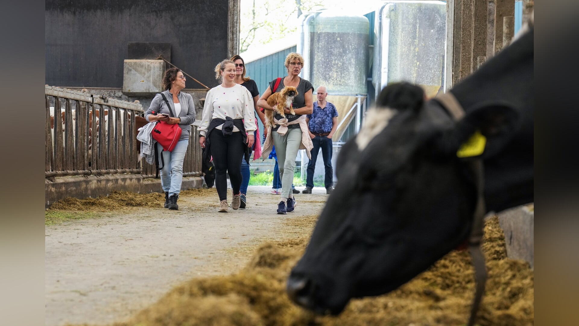 20e Gaasterland Wandeltocht: “Het verbaast me dat ze er elk jaar weer in slagen een andere route te