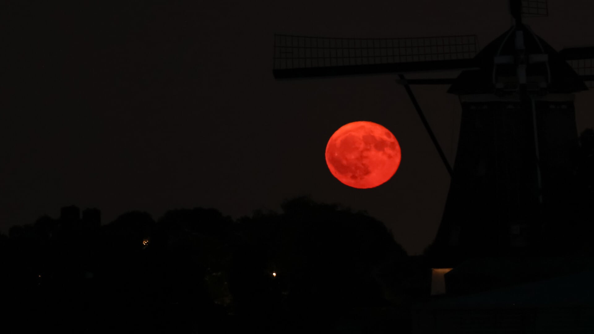 Aardbeienmaan gefotografeerd door Nel Giorgi