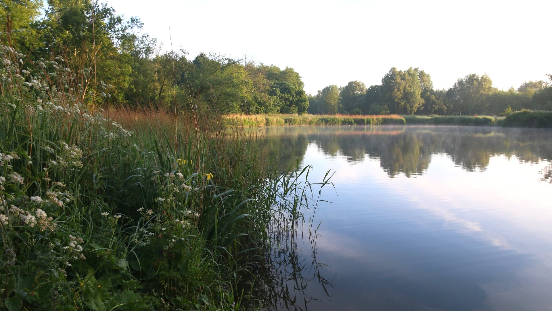 Waterkwaliteit Pijnacker-Nootdorp zorgwekkend
