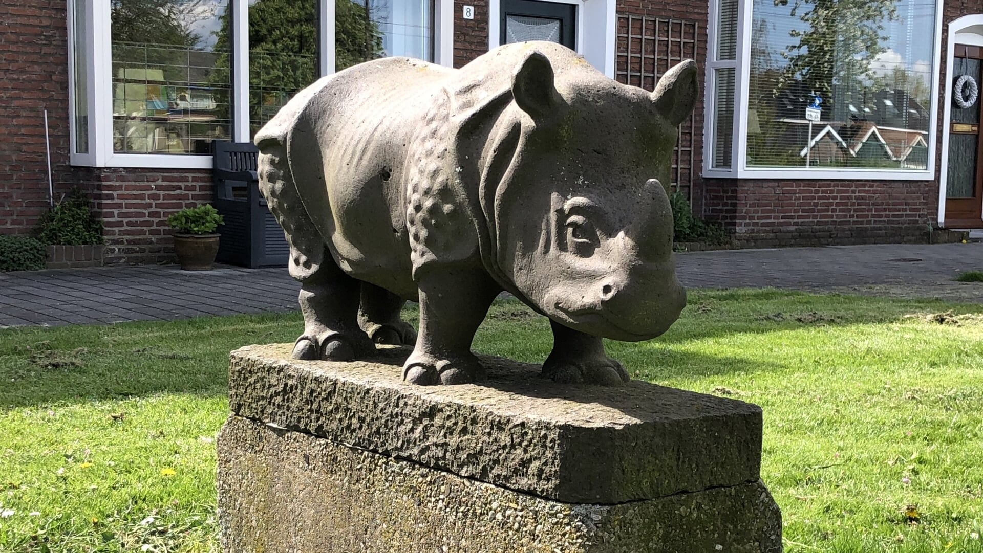 De Indische neushoorn van Theo