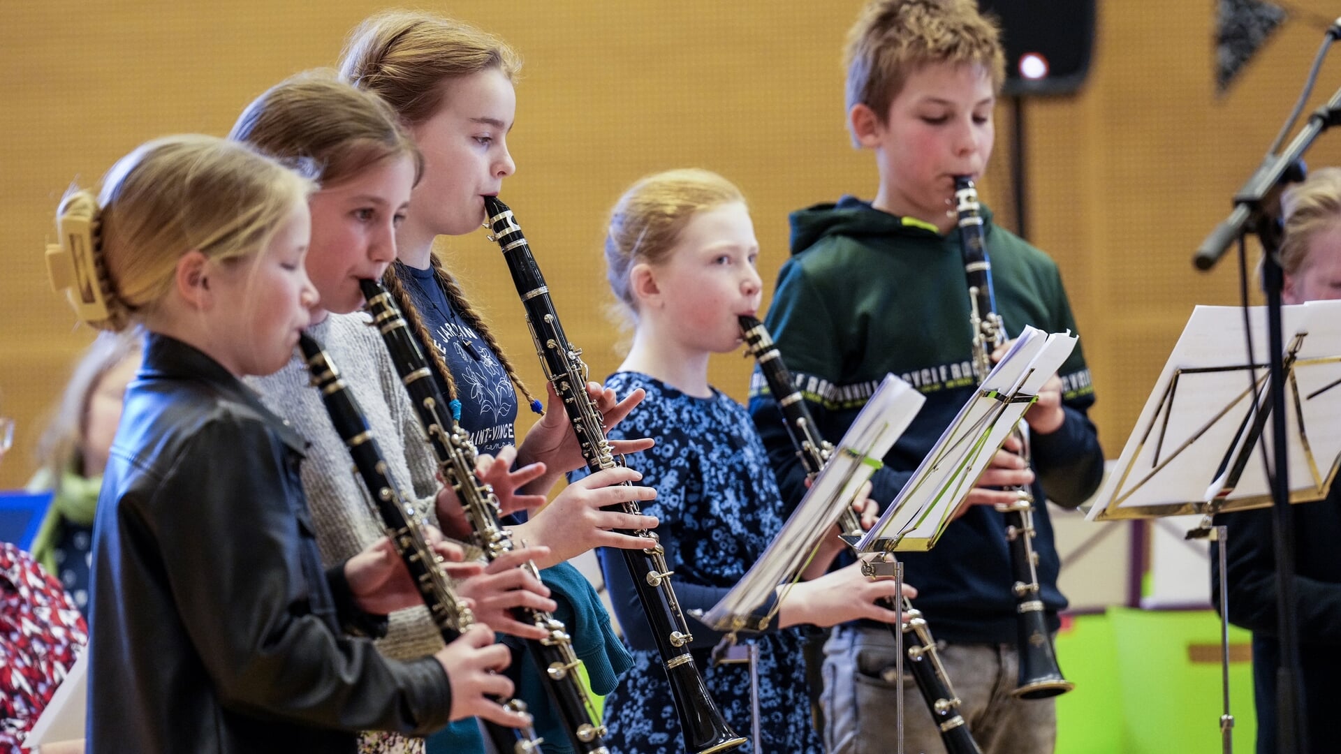 Belevingsmarkt It Toanhûs zaterdag in Lemmer